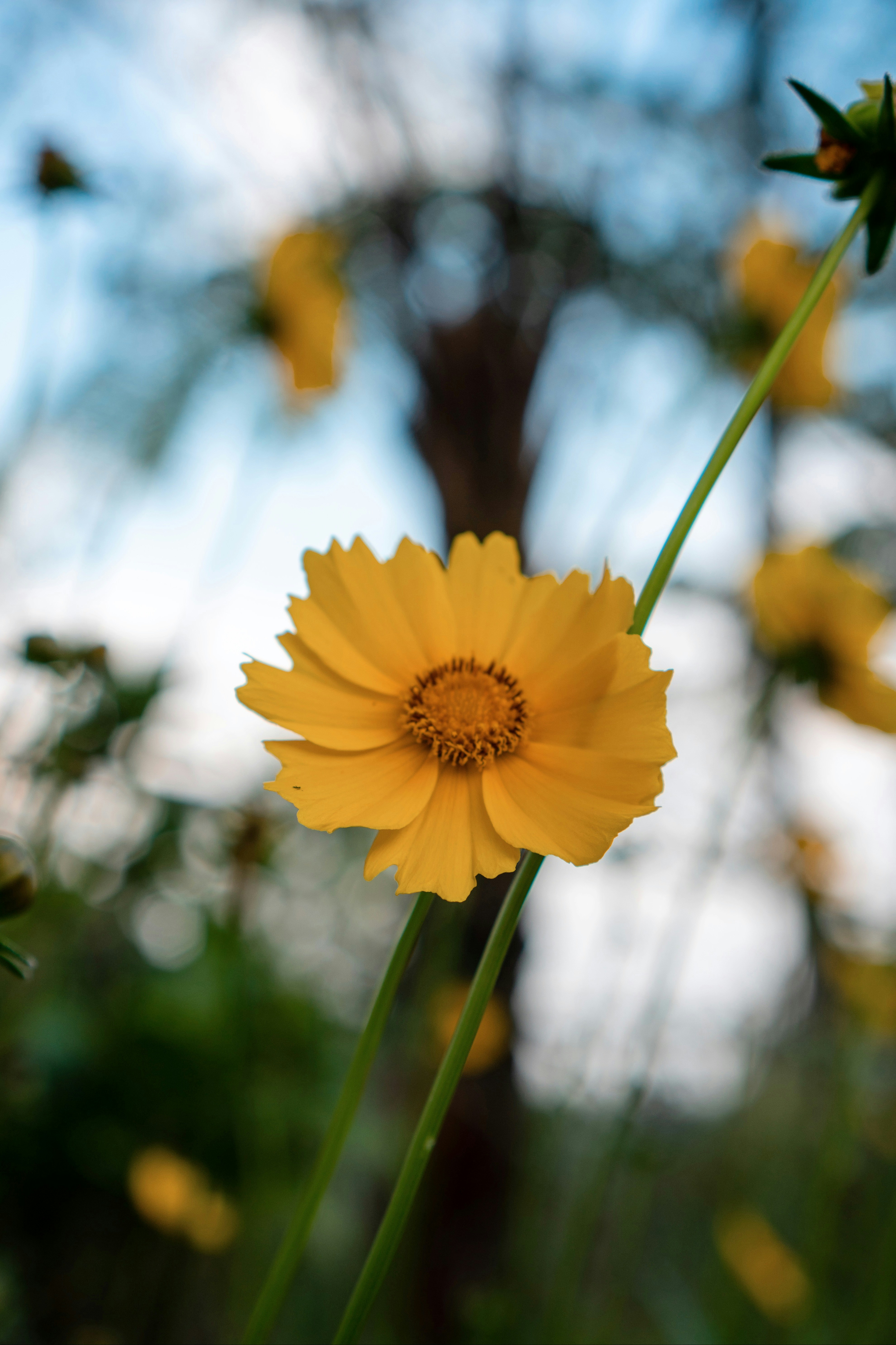 Photo by nazmijavier