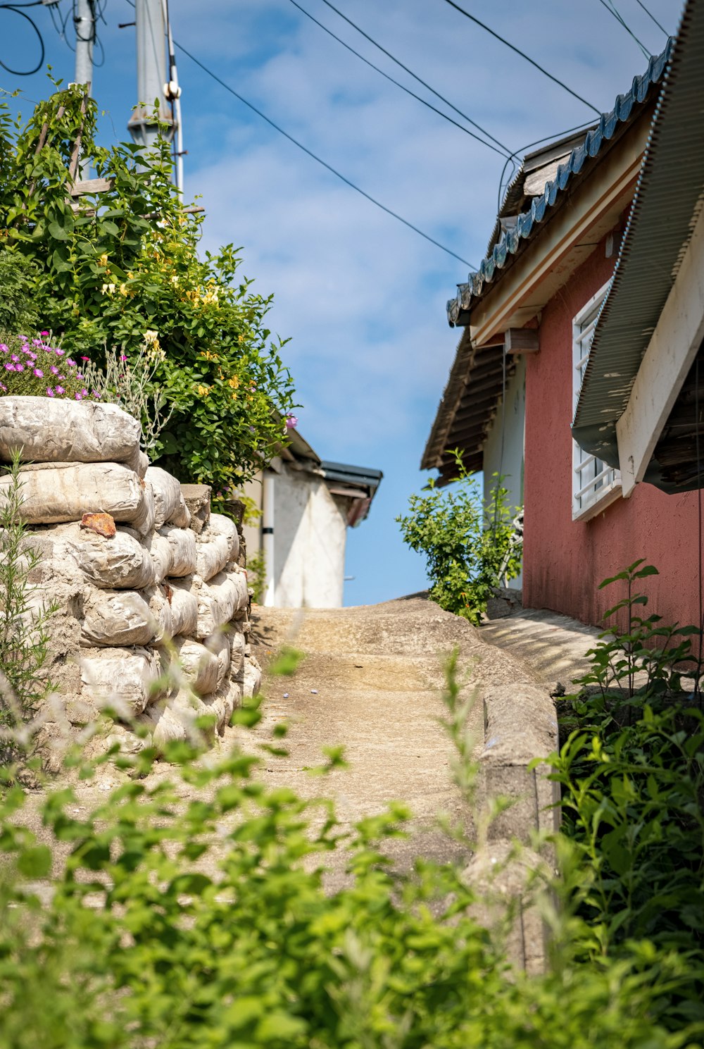 a path between houses