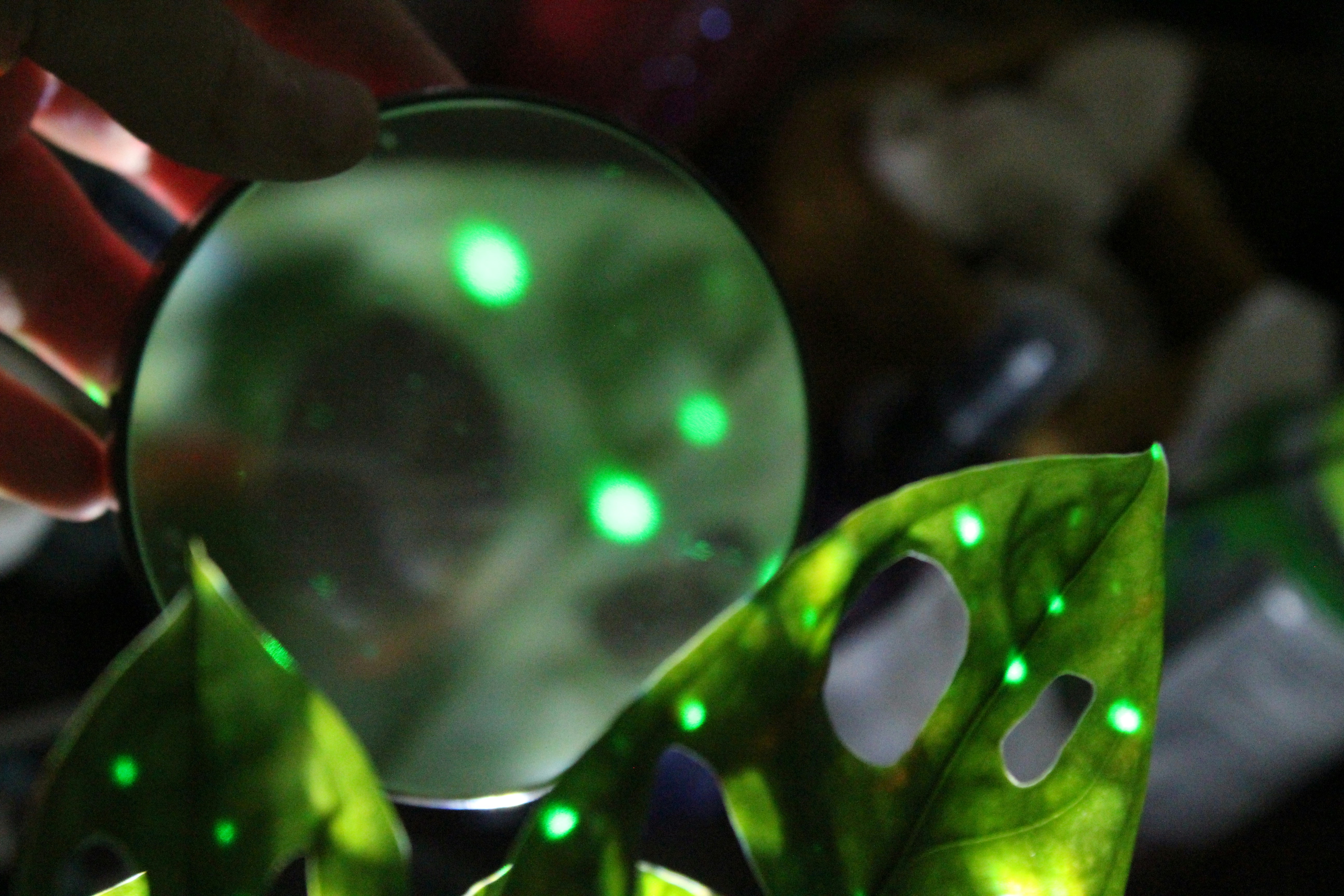 Photo by well_name_isnt_harry