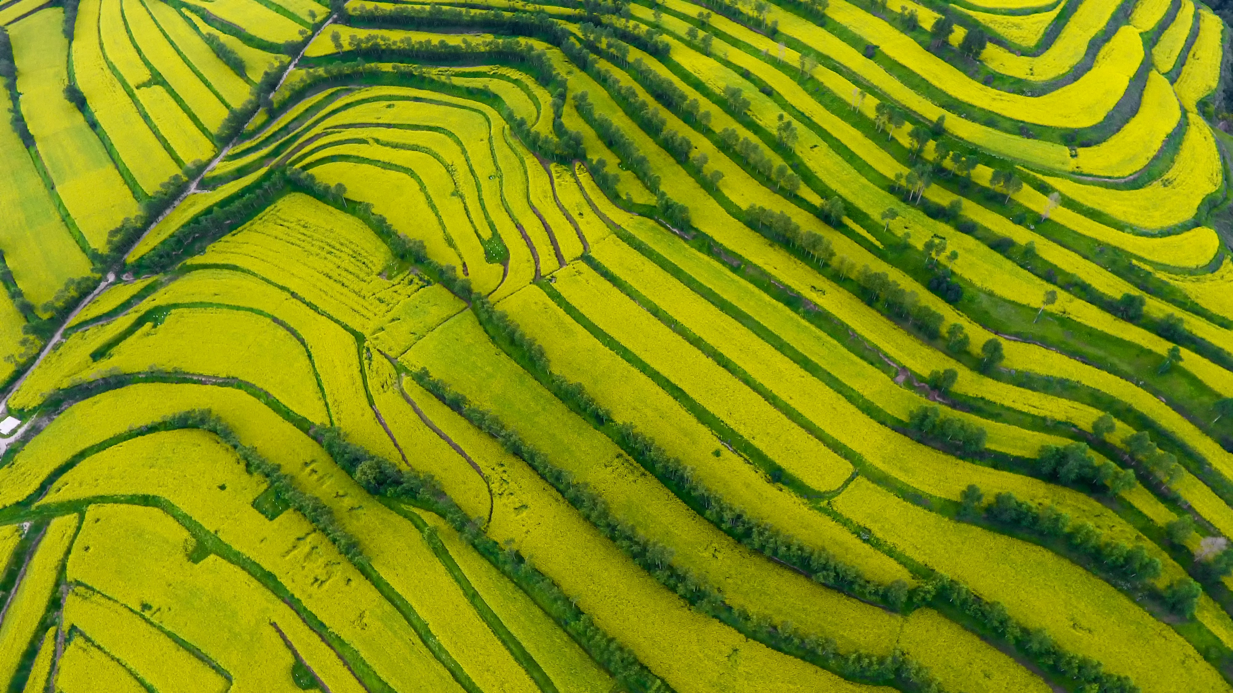 Photo by longmaspirit