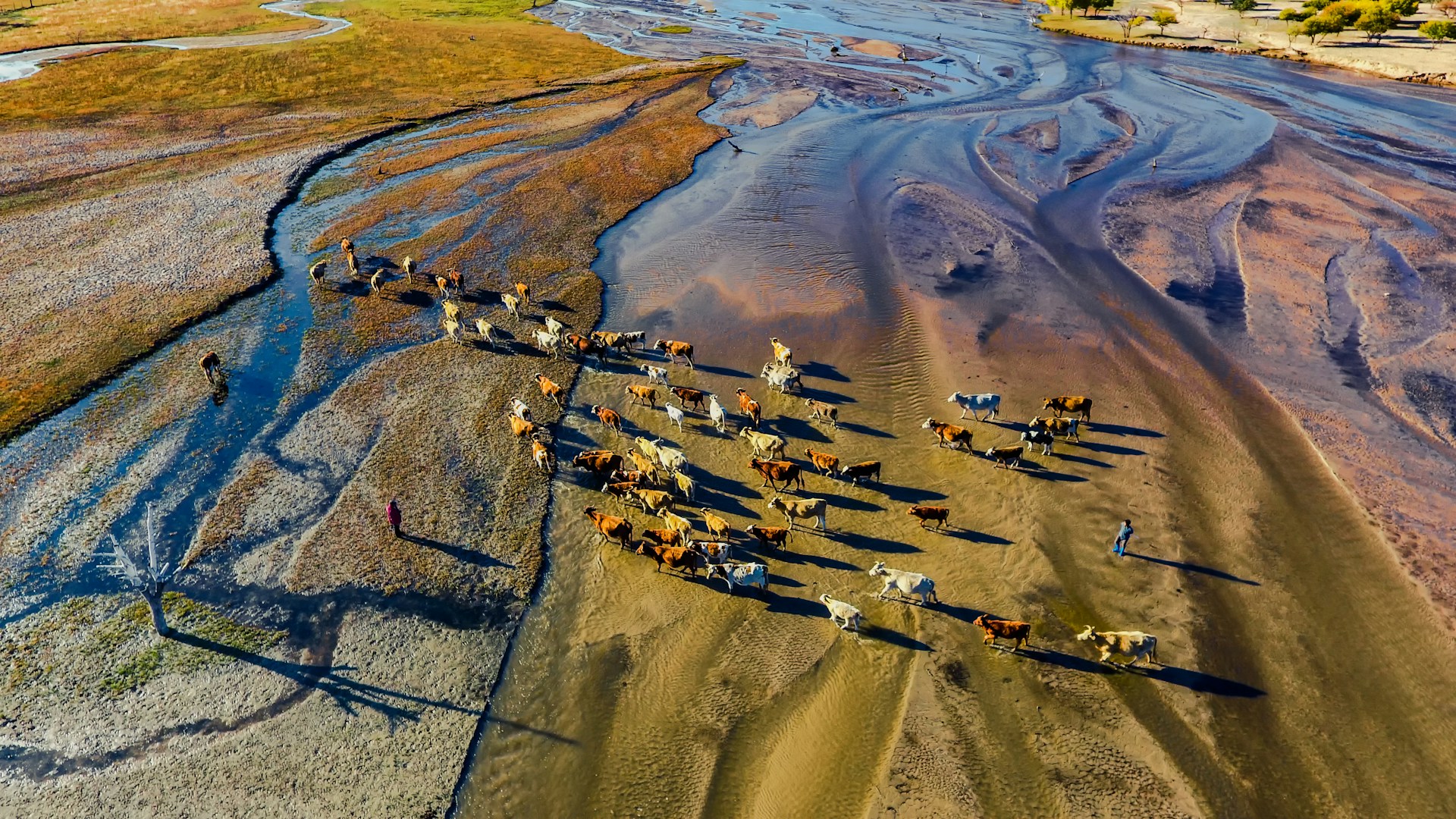 black and brown leather padded tub sofa