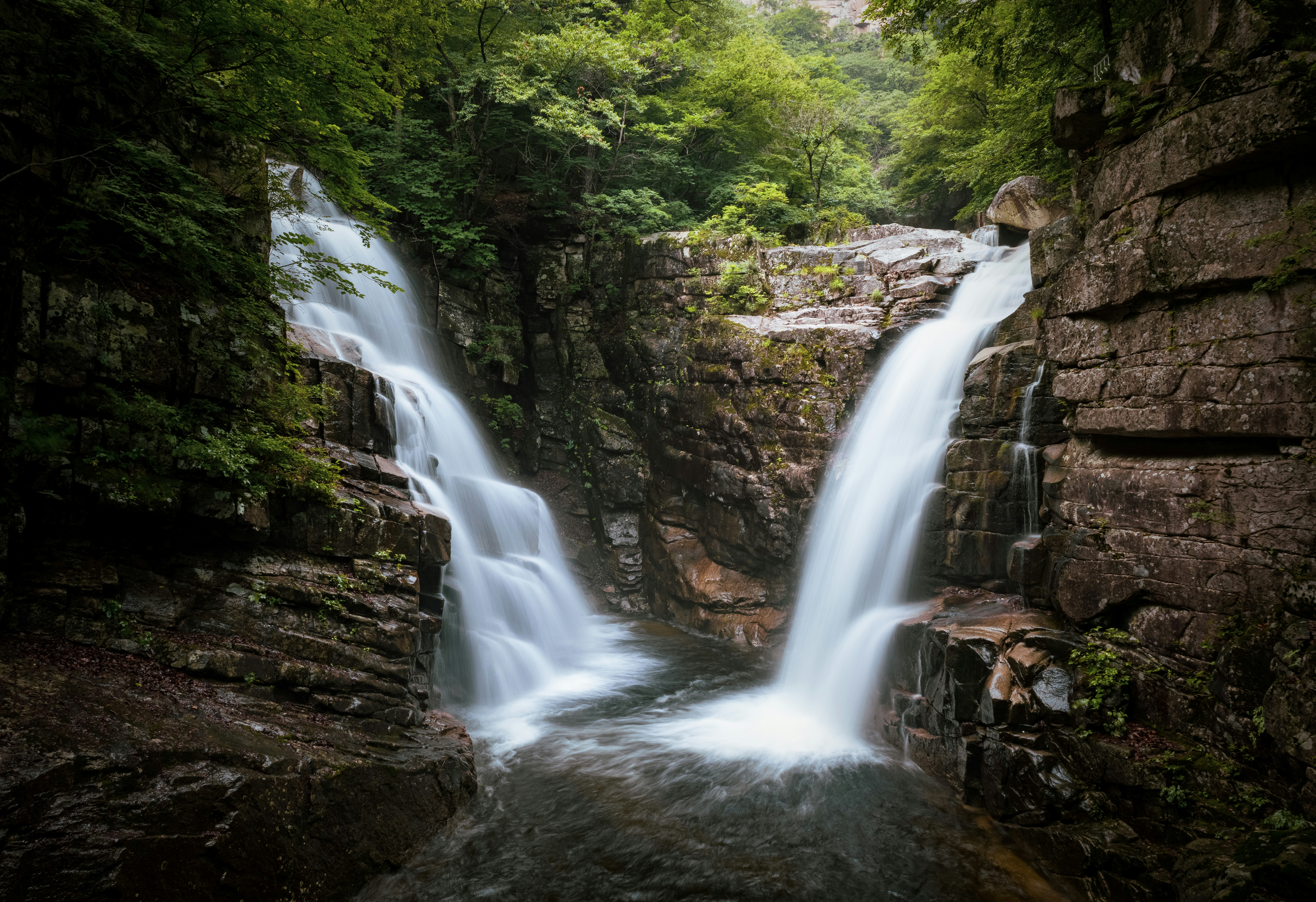Photo by photosofkorea