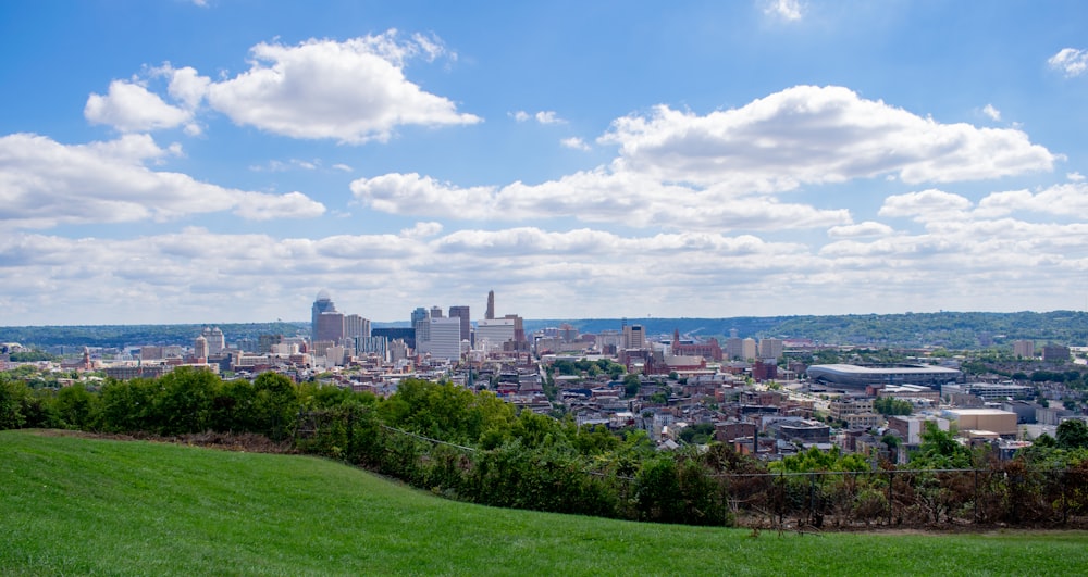 a city skyline with trees and grass