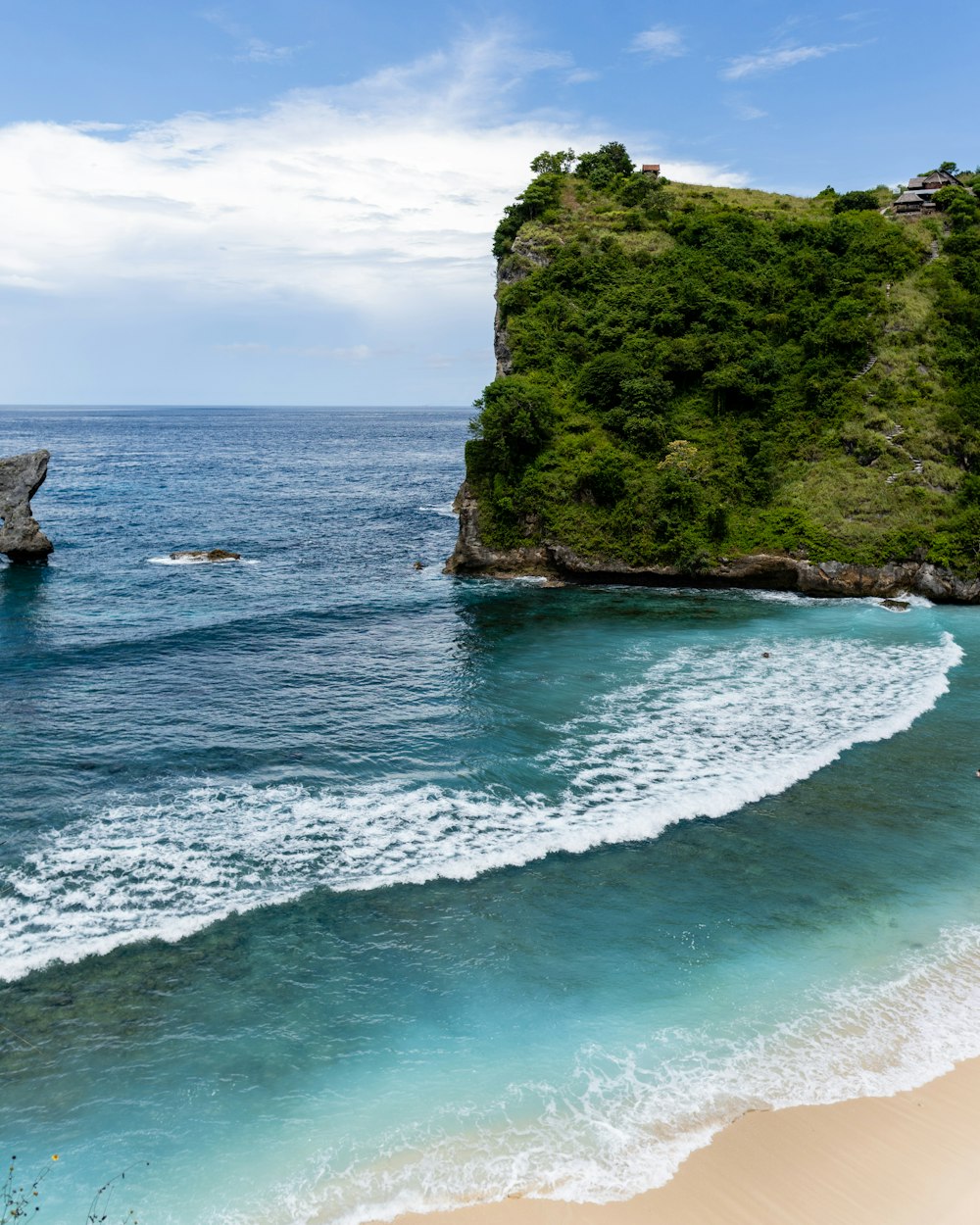 une plage arborée et un plan d’eau