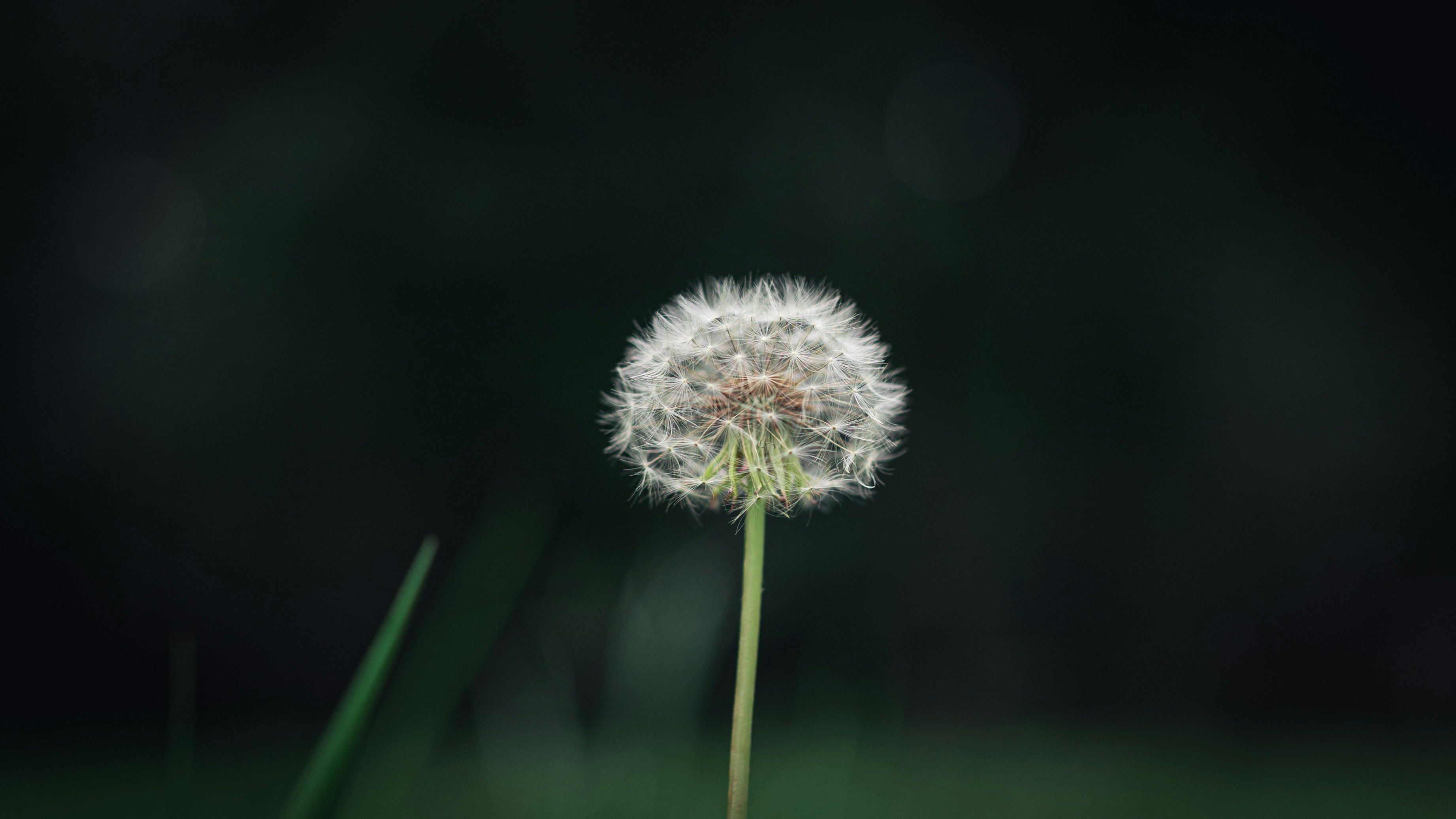 Photo by peek_a_boo_who