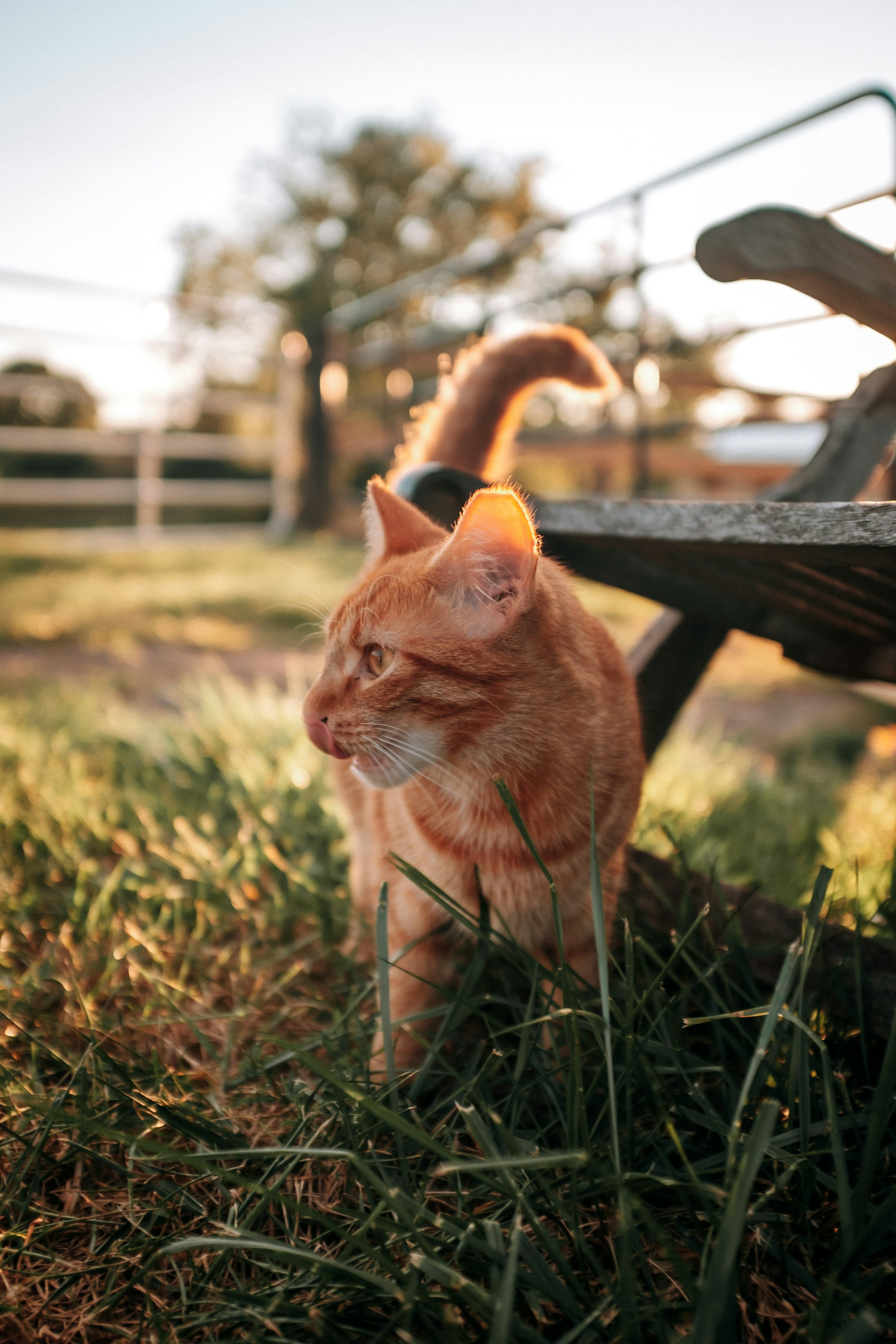 Photo by keithtanman