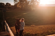 Volunteer helping a rescued horse in a sunlit pasture near the lodging area.