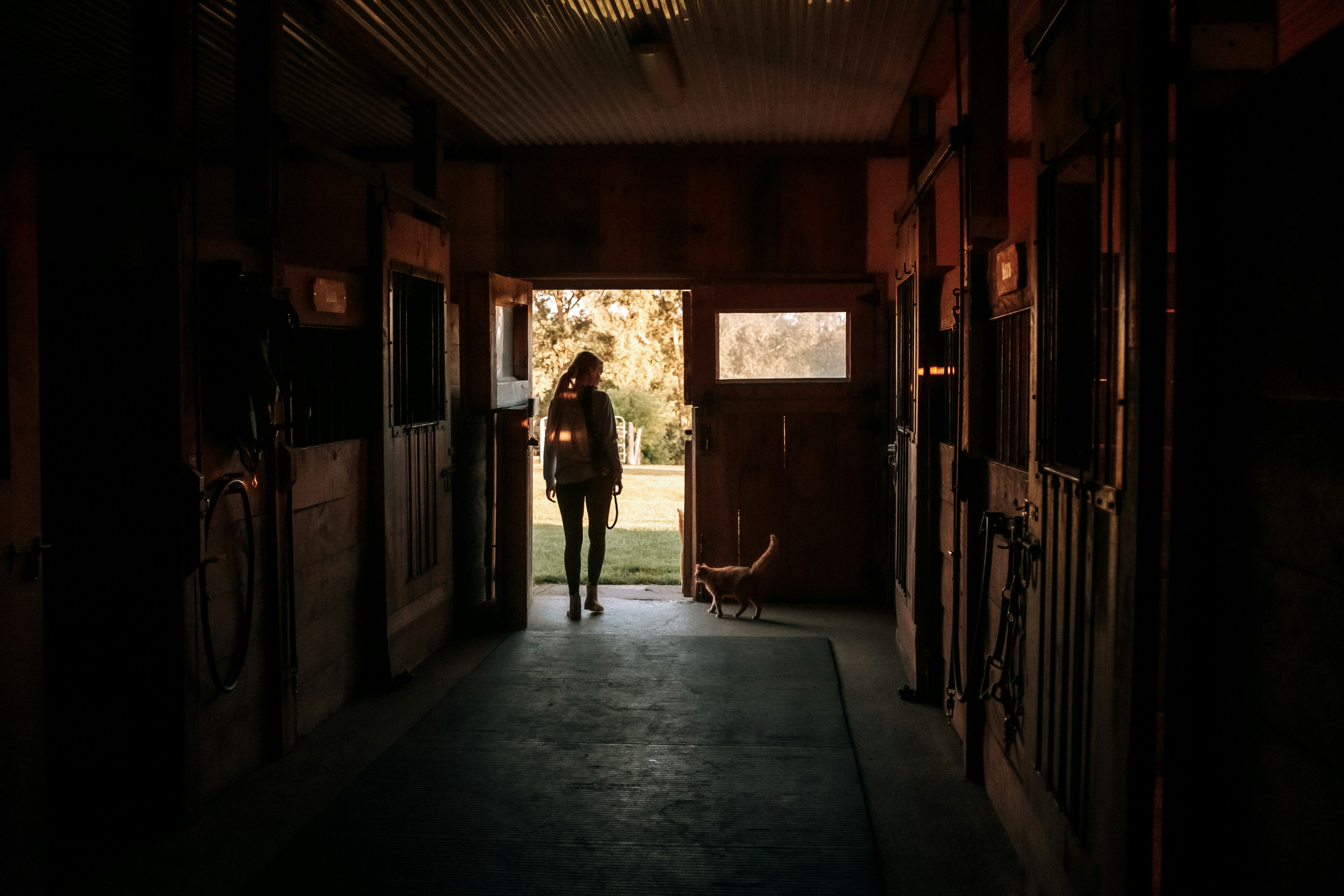 a person walking a dog in a hallway