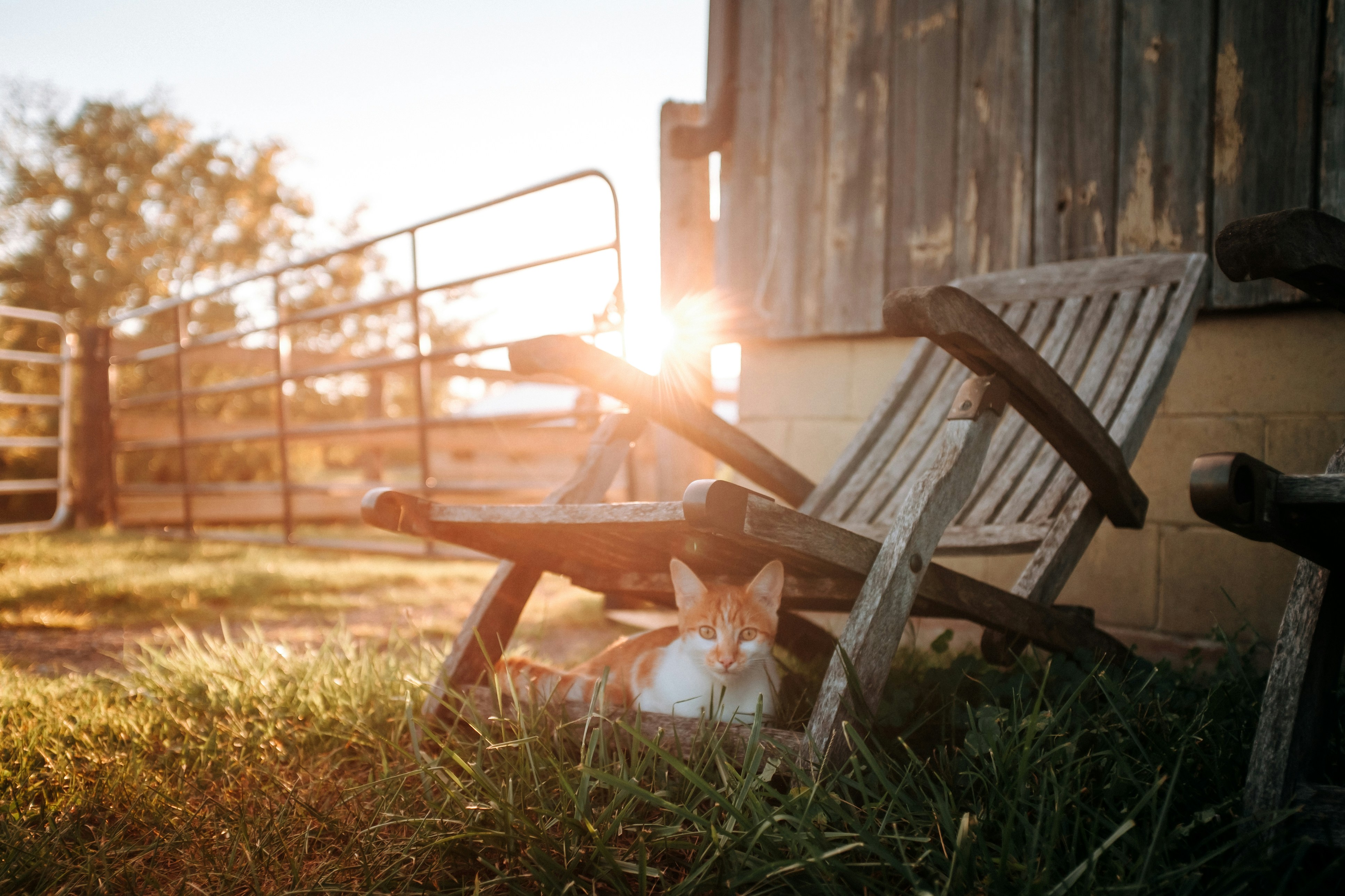 Photo by keithtanman