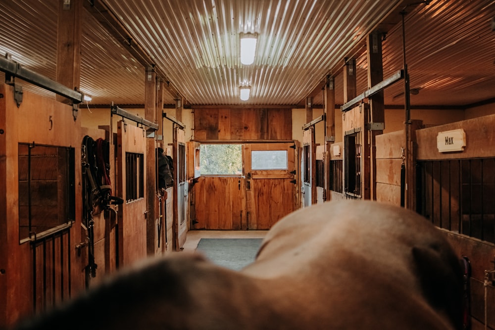 a room with wooden walls