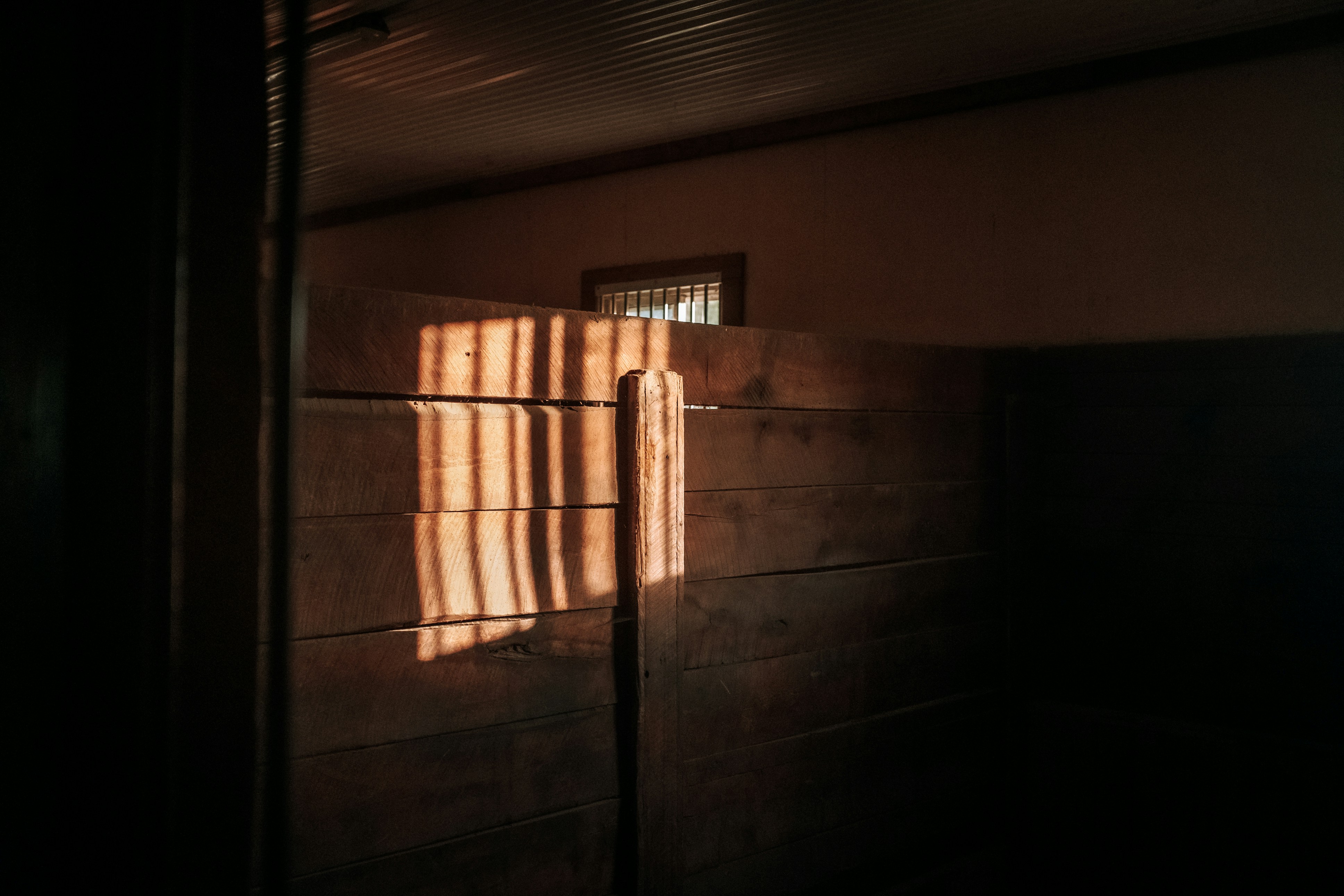 Photo by keithtanman