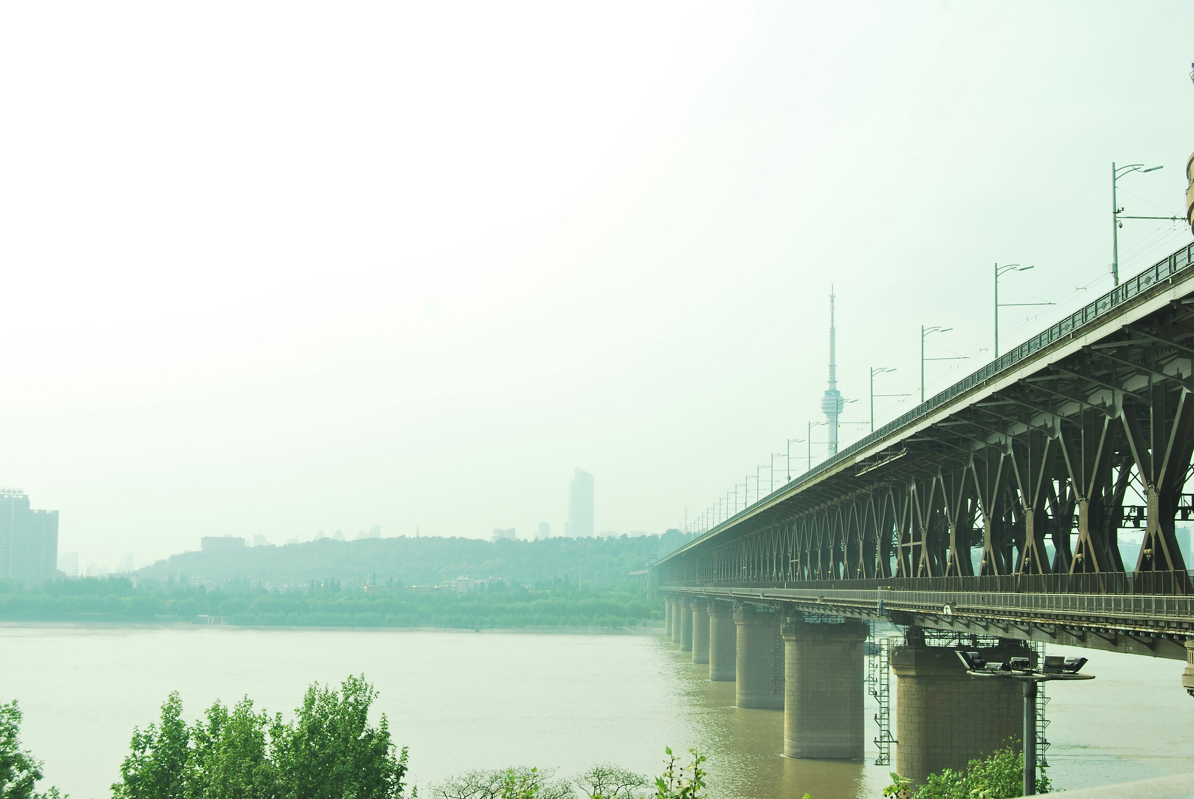 Photo by octopus_owl