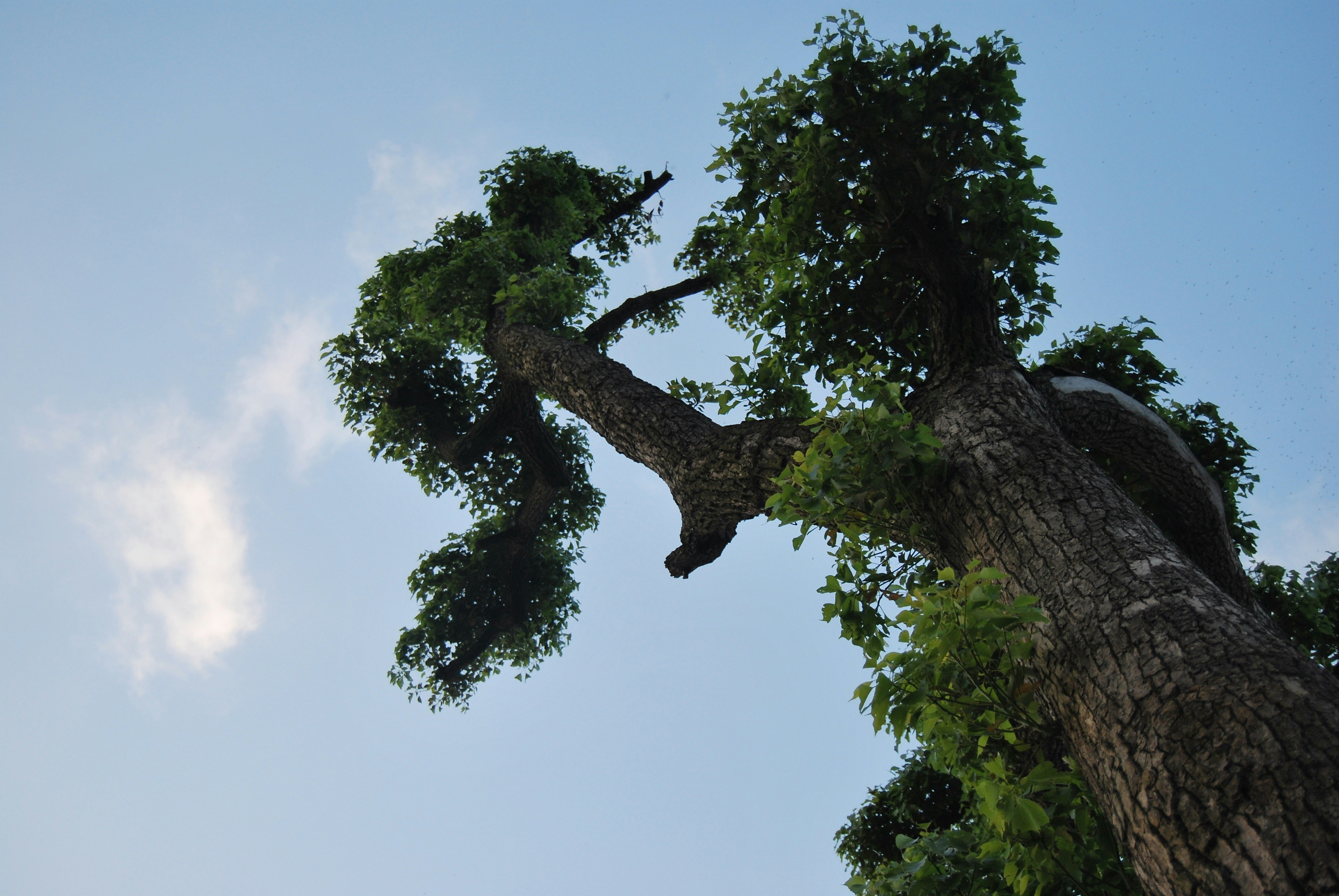 Photo by octopus_owl