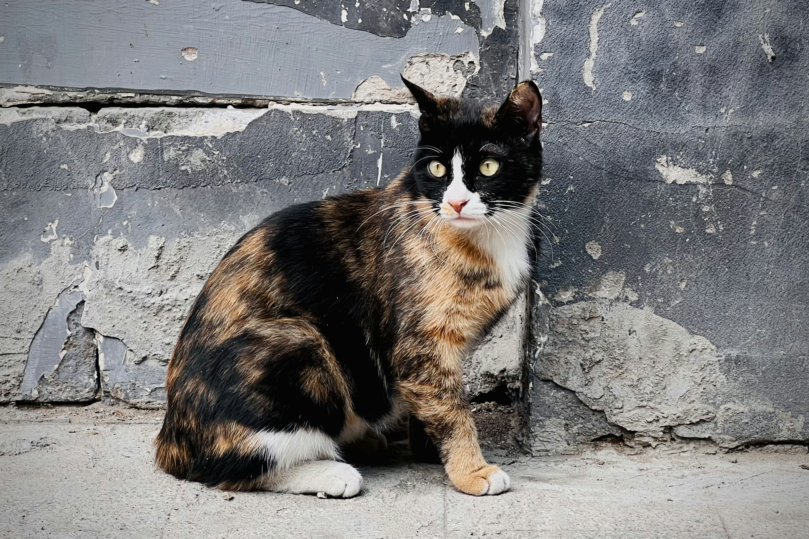 Photo by silentstorm425