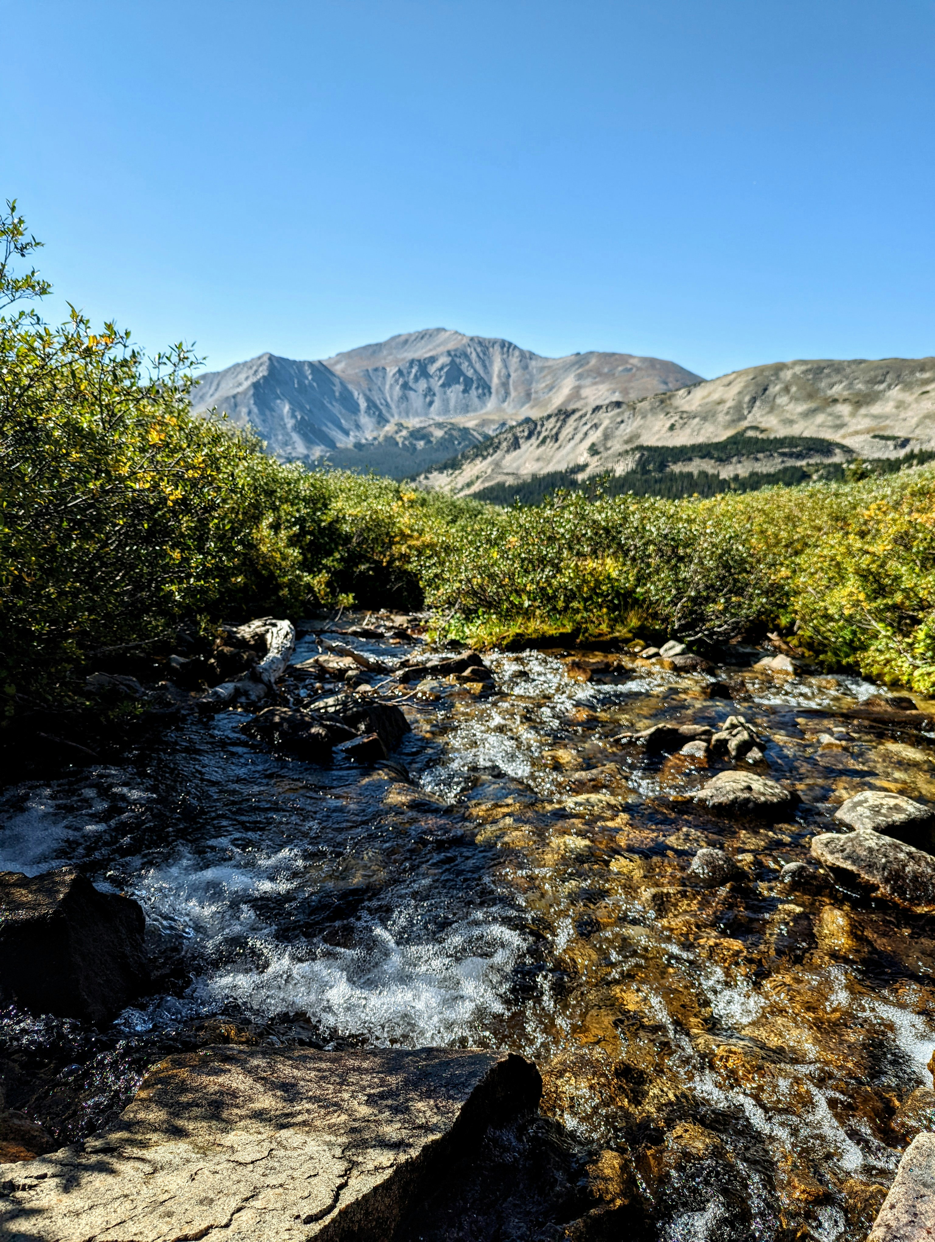 A stream running through the basin looking out at Mt. Yale in Colorado.