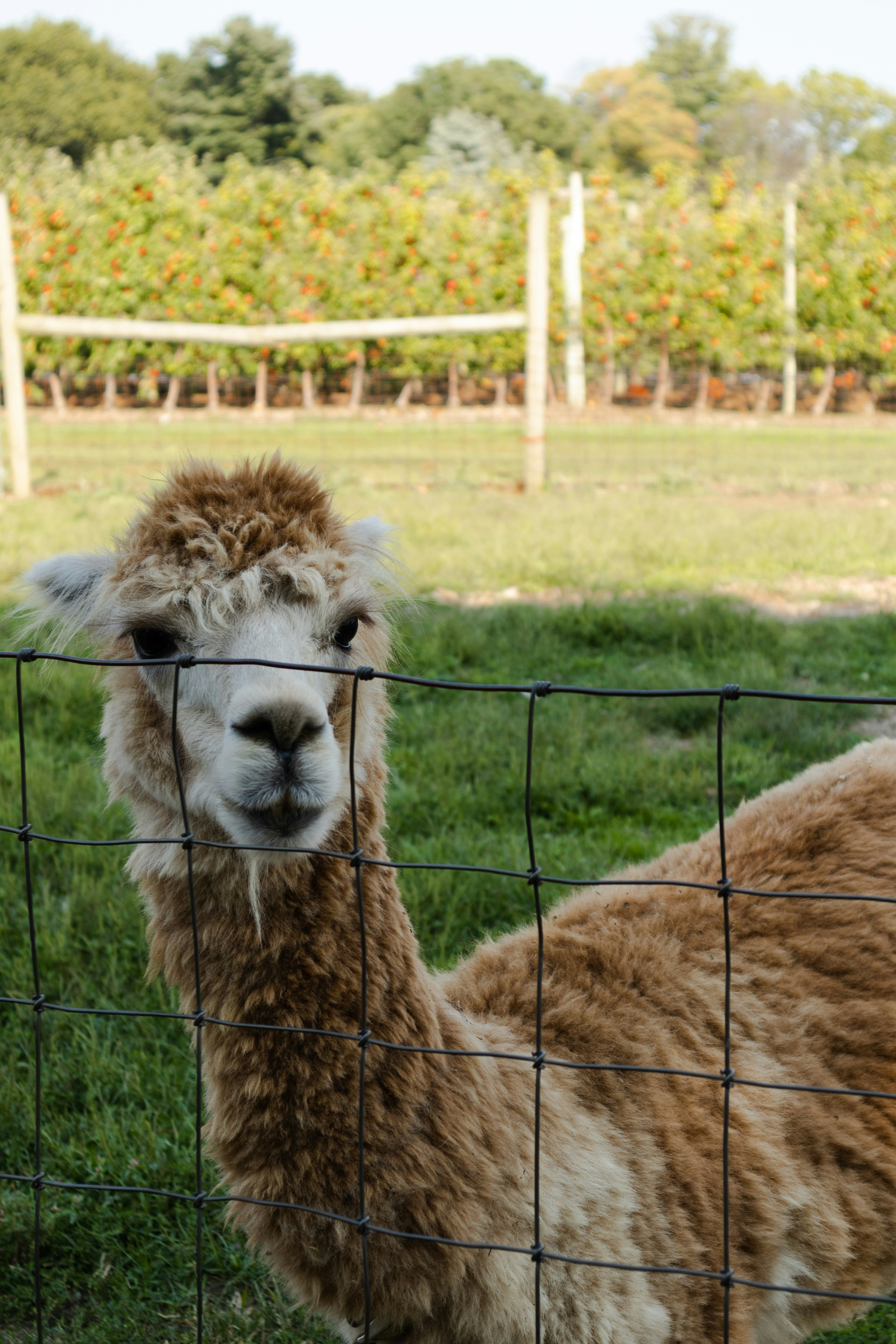 Photo by silviapgalan