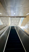 Wide shot of a newly installed escalator in a modern commercial building.