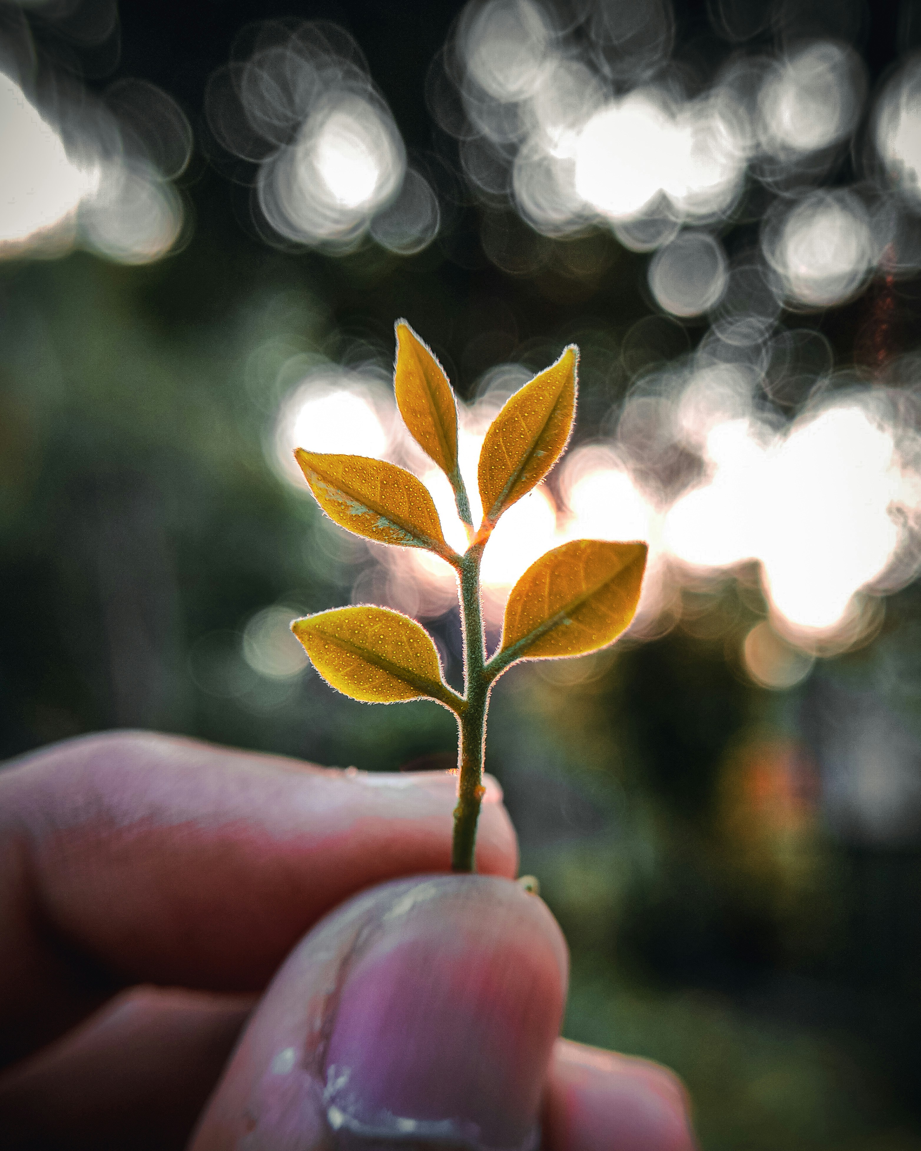 Photo by brajendra_lens_a_lot_