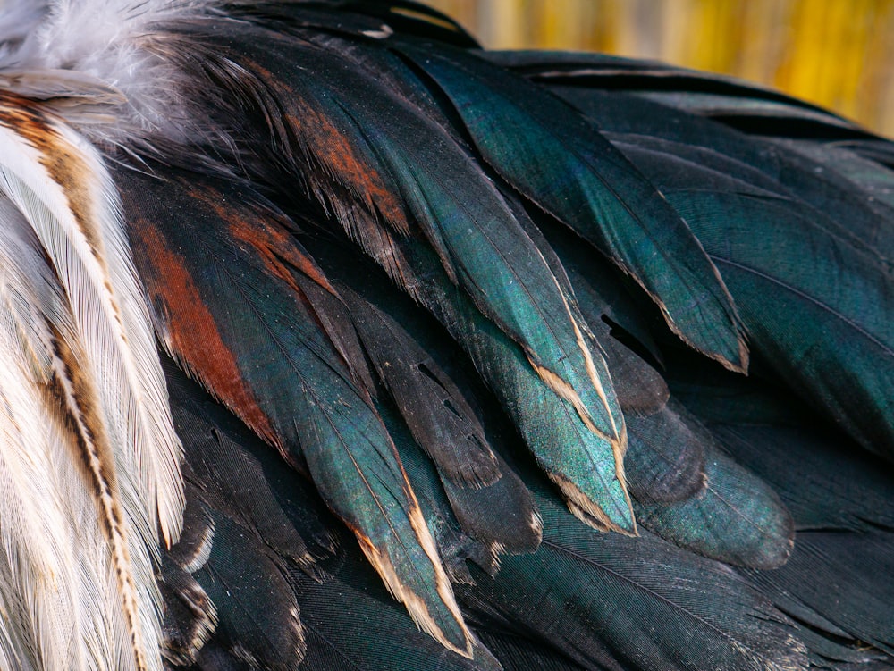 a close up of a person's hair