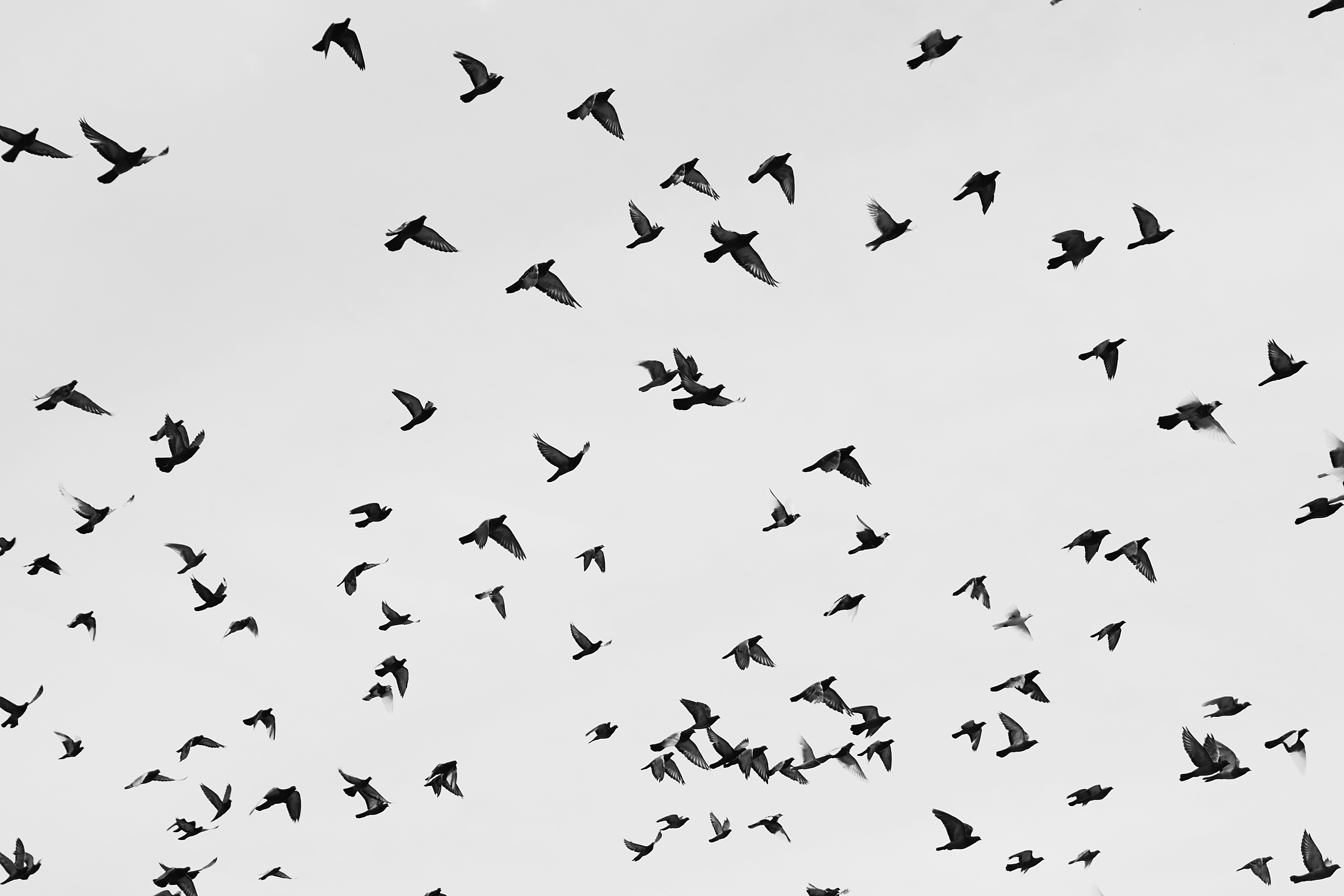 Photo by nizametdinova