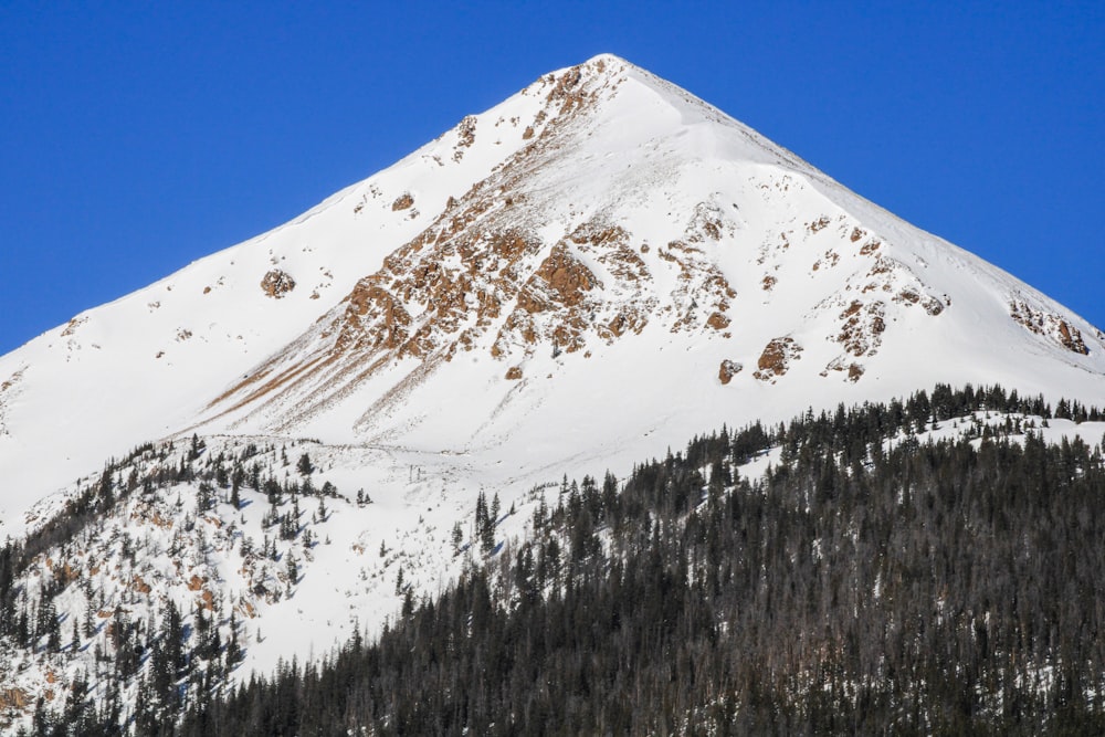 a snowy mountain with trees