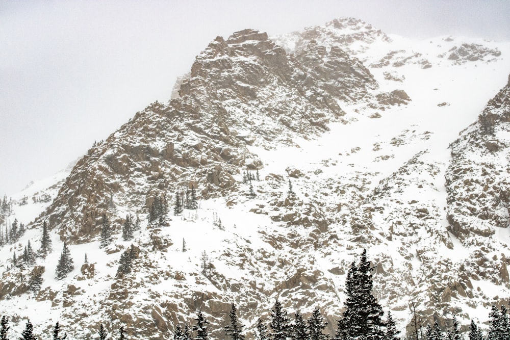 a snowy mountain with trees