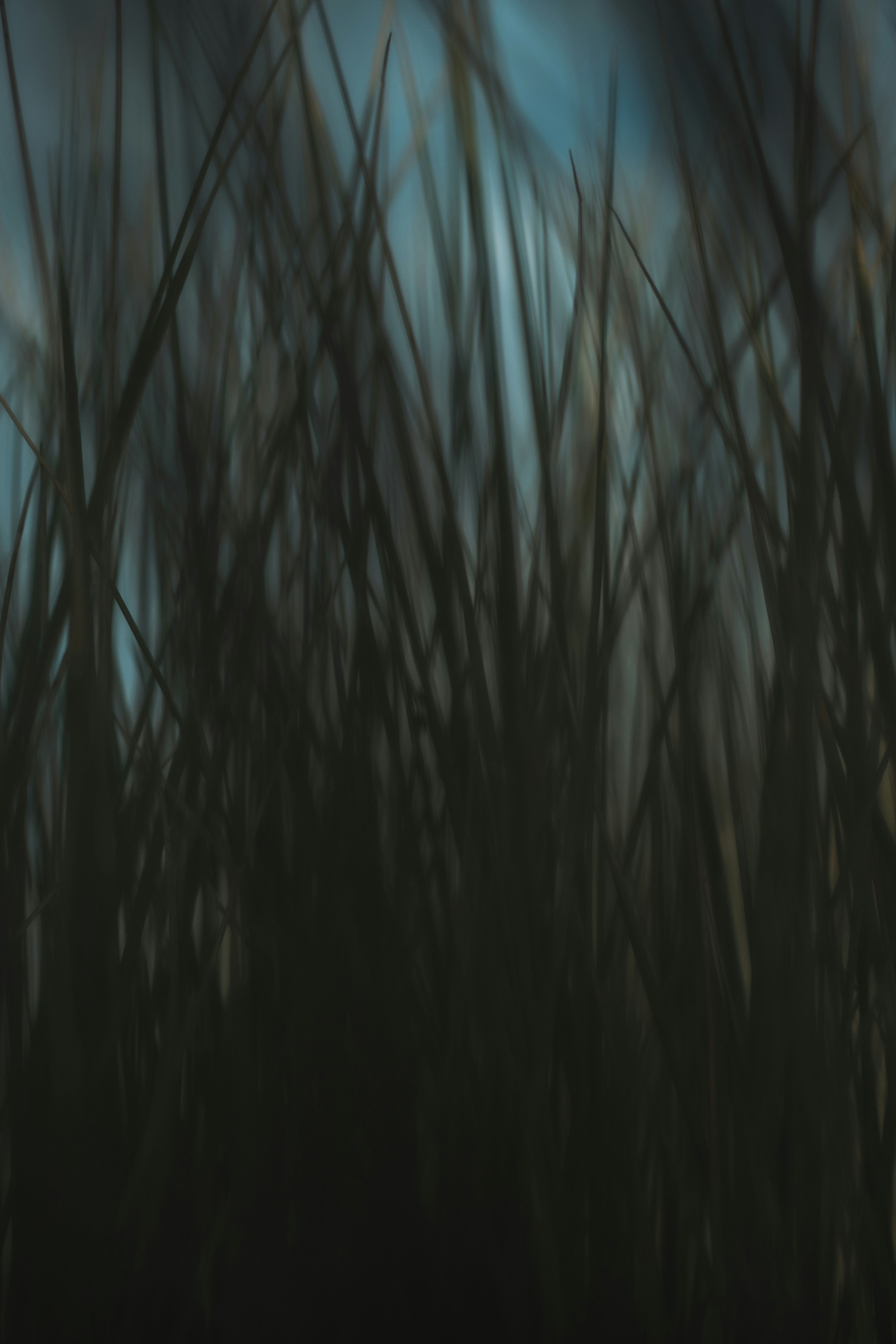 Photo by timmossholder