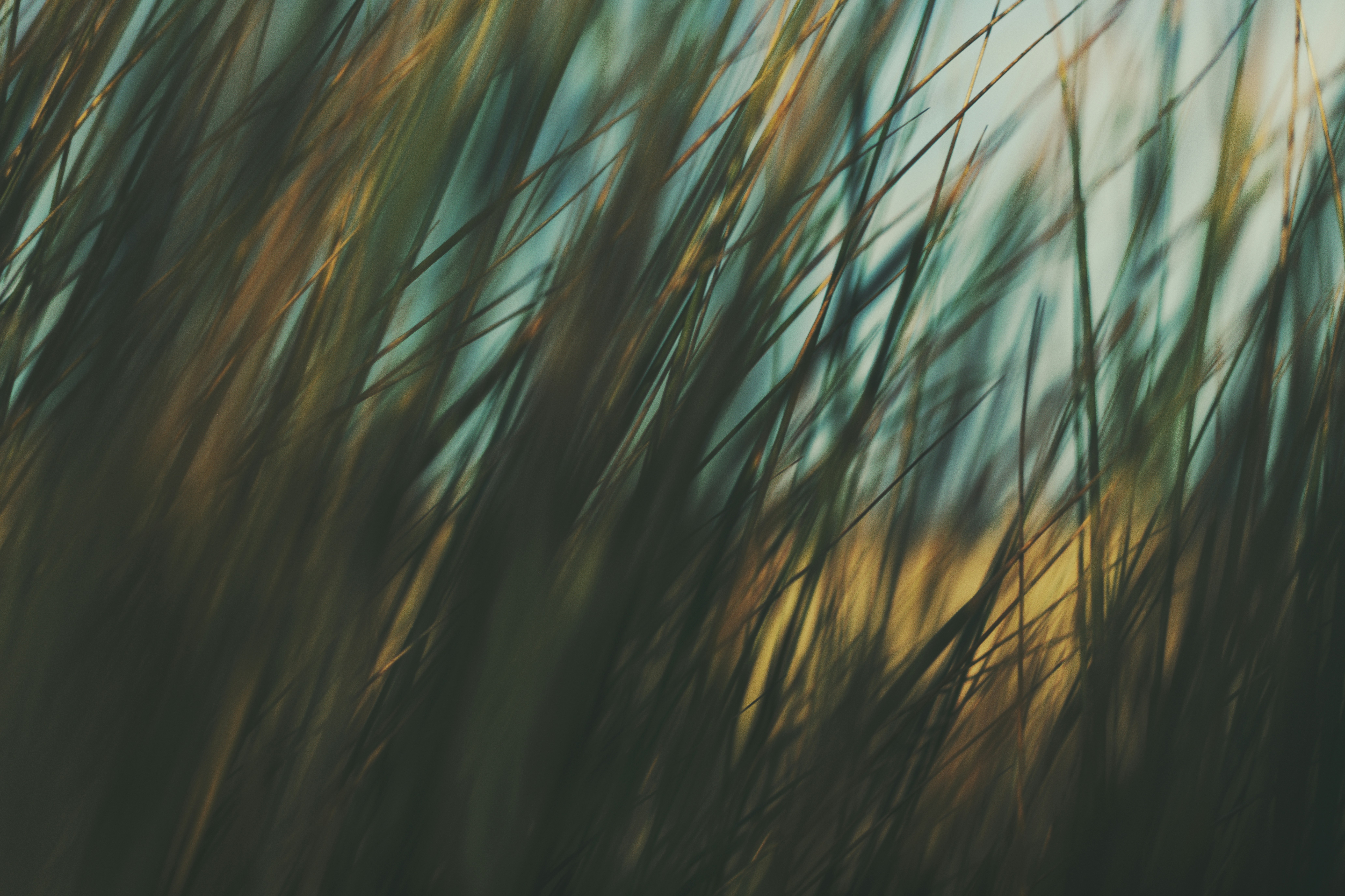 Photo by timmossholder