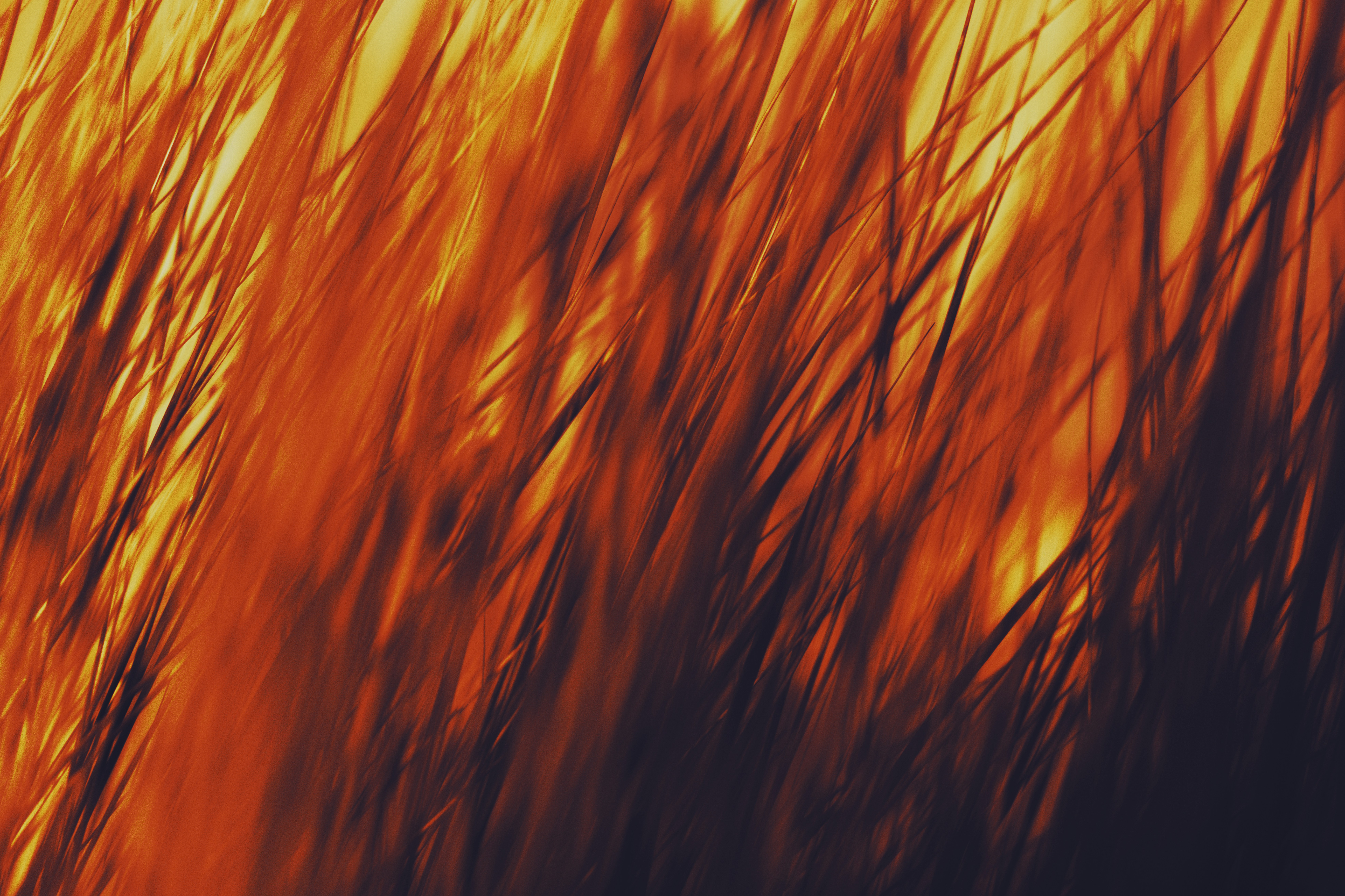 Photo by timmossholder