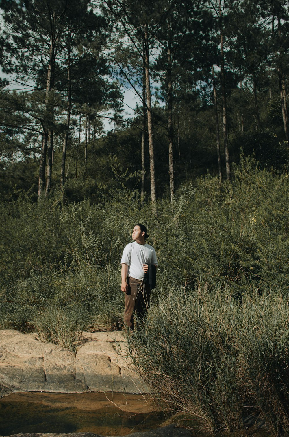 Un uomo in piedi in una foresta