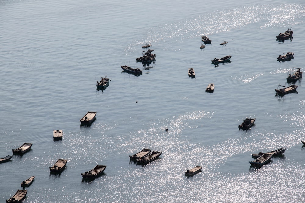 a group of boats floating on water