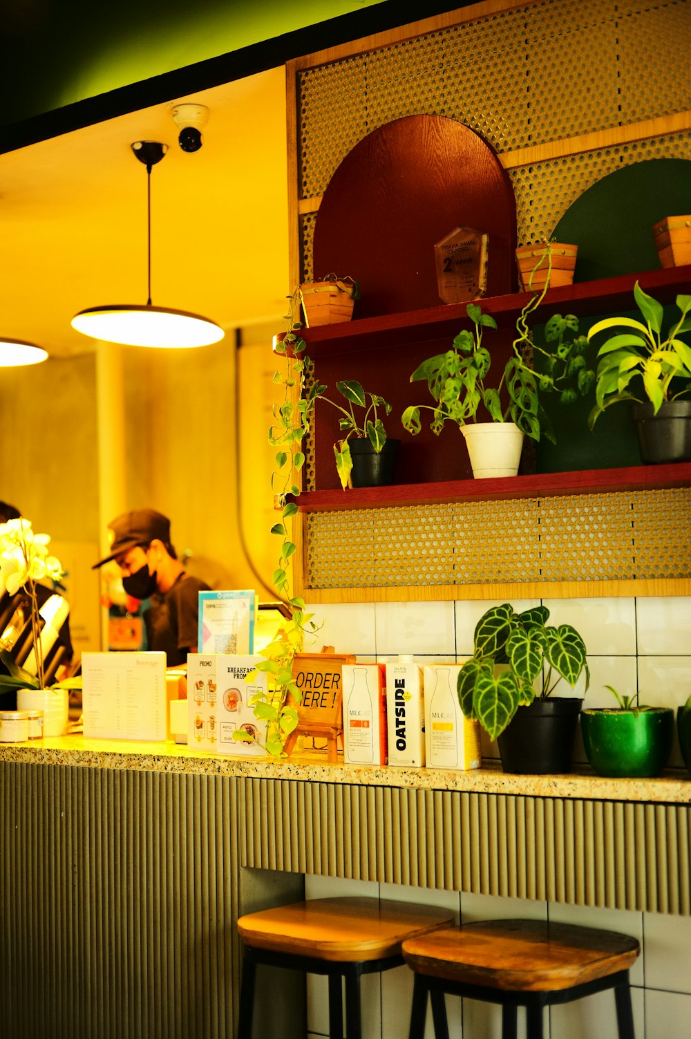 a counter with plants and a mirror