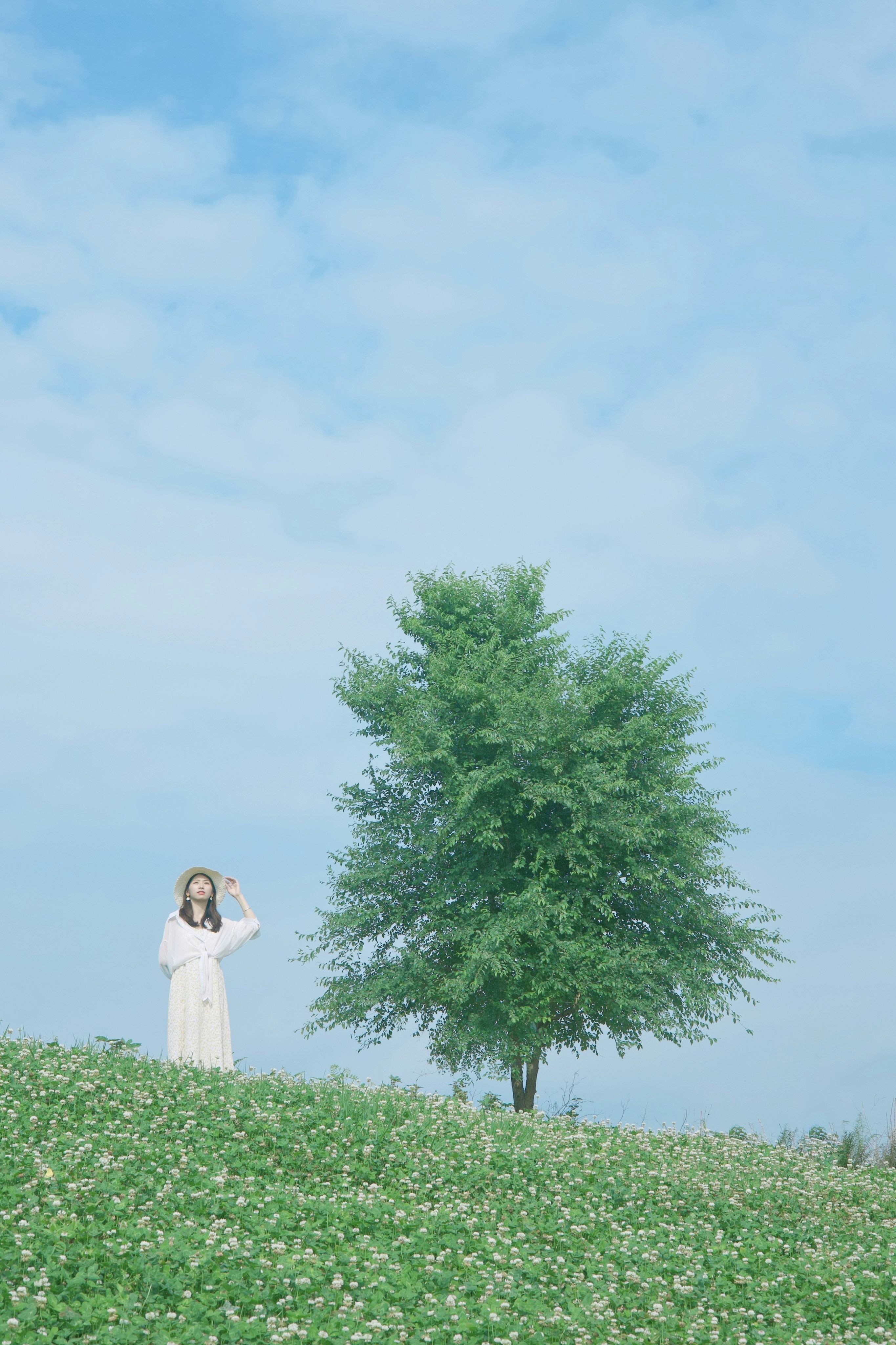 Photo by woodyyan