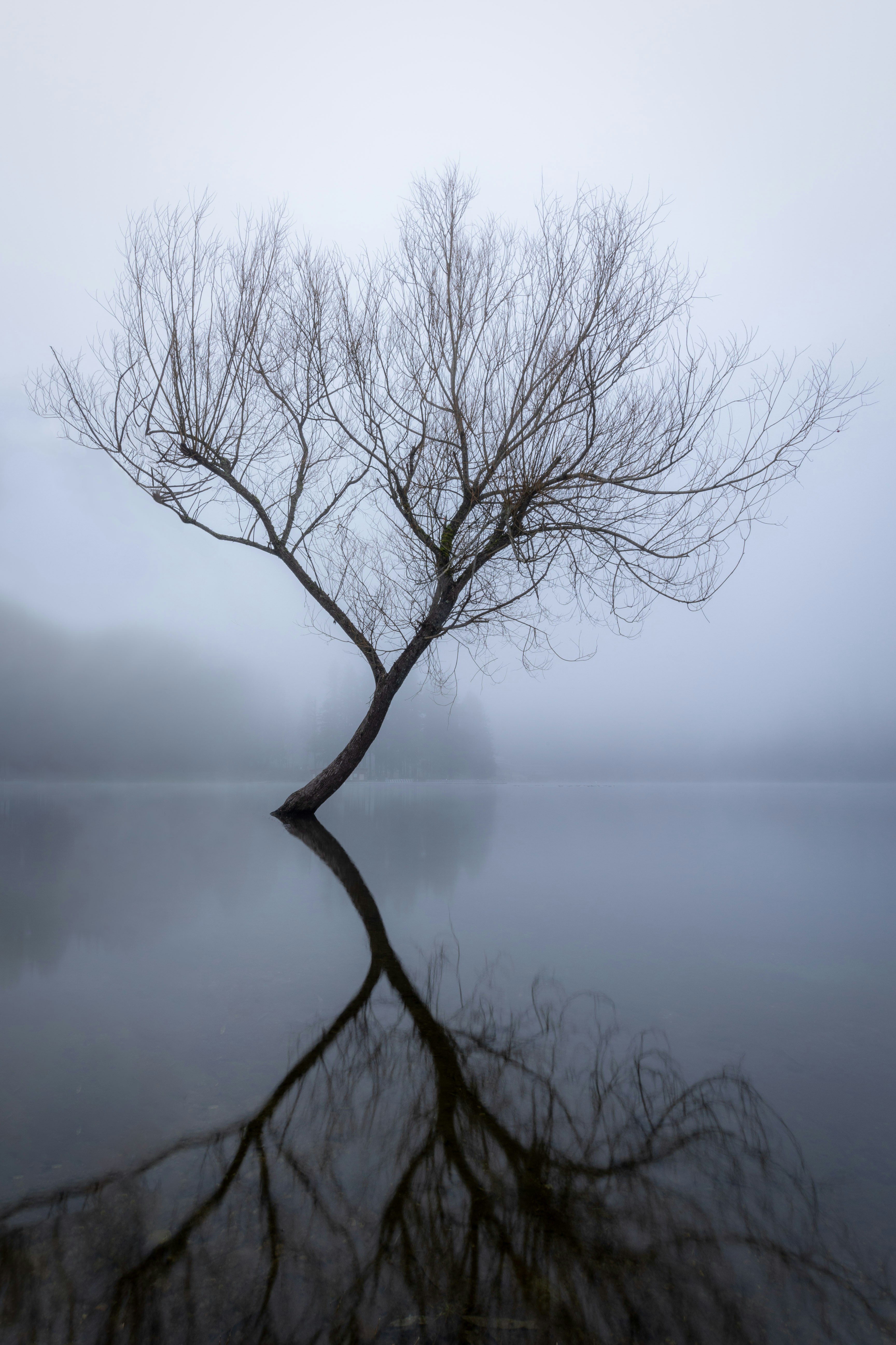 Photo by parkerwichelmann