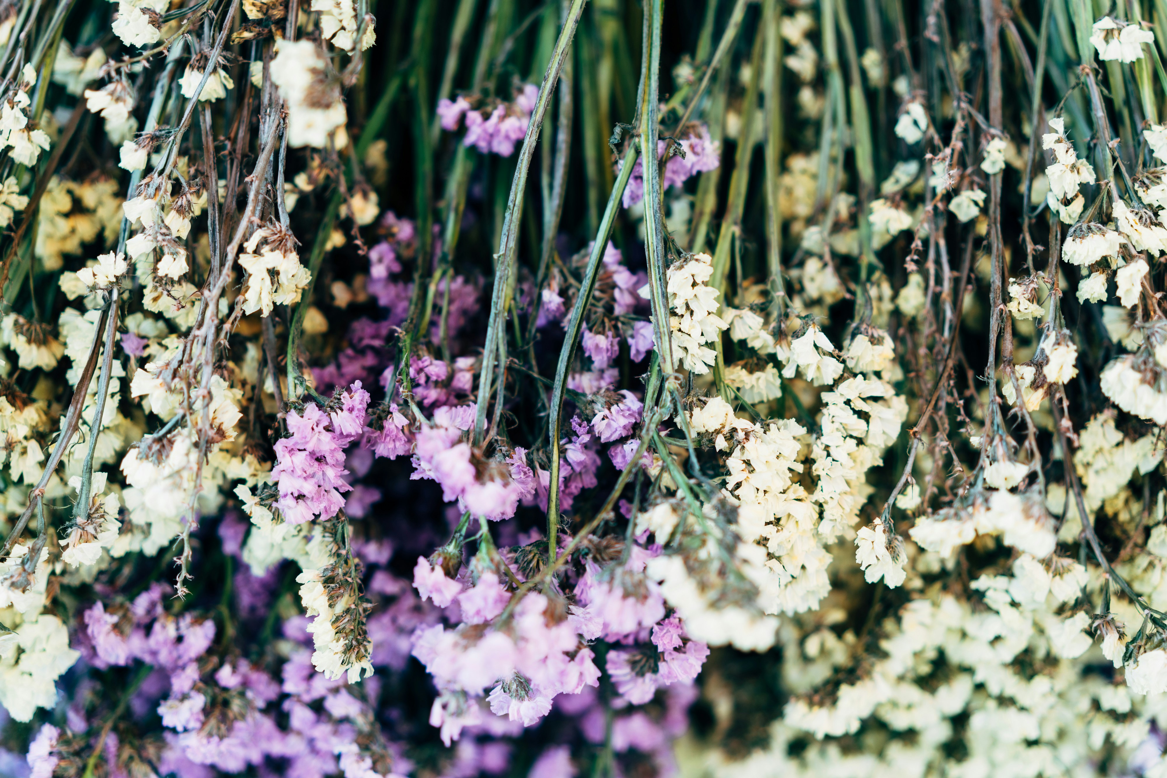 Photo by markuswinkler