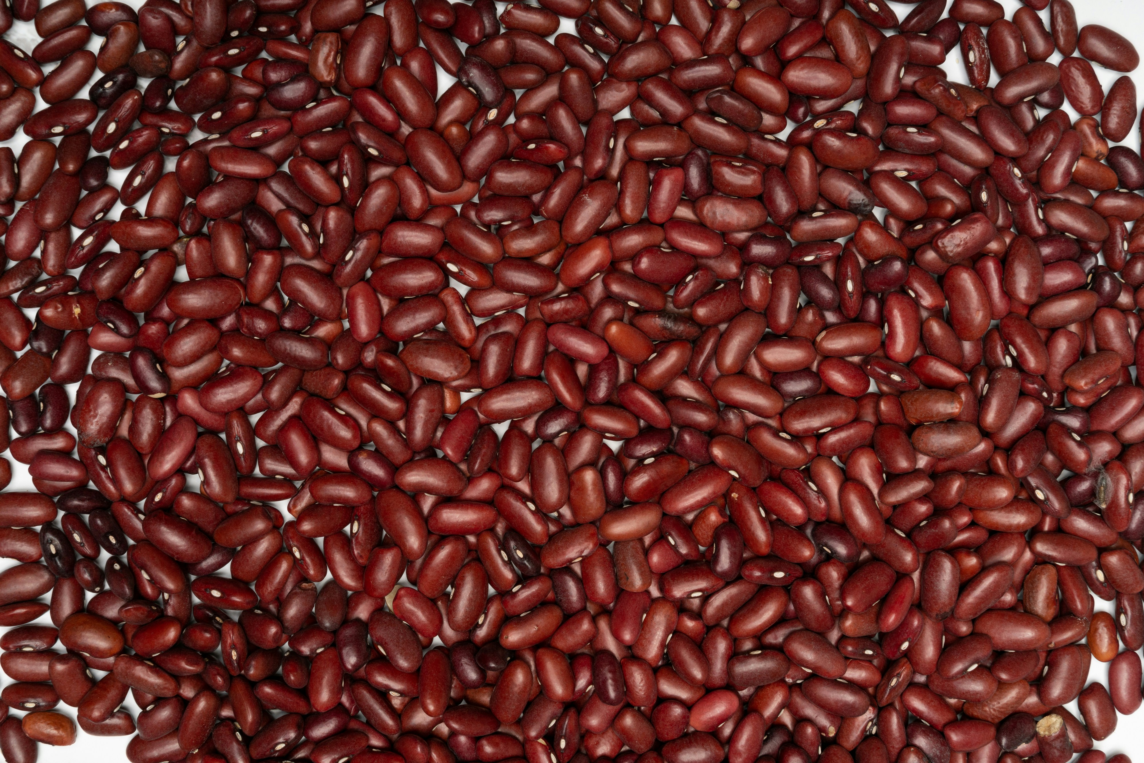 Photo by markuswinkler