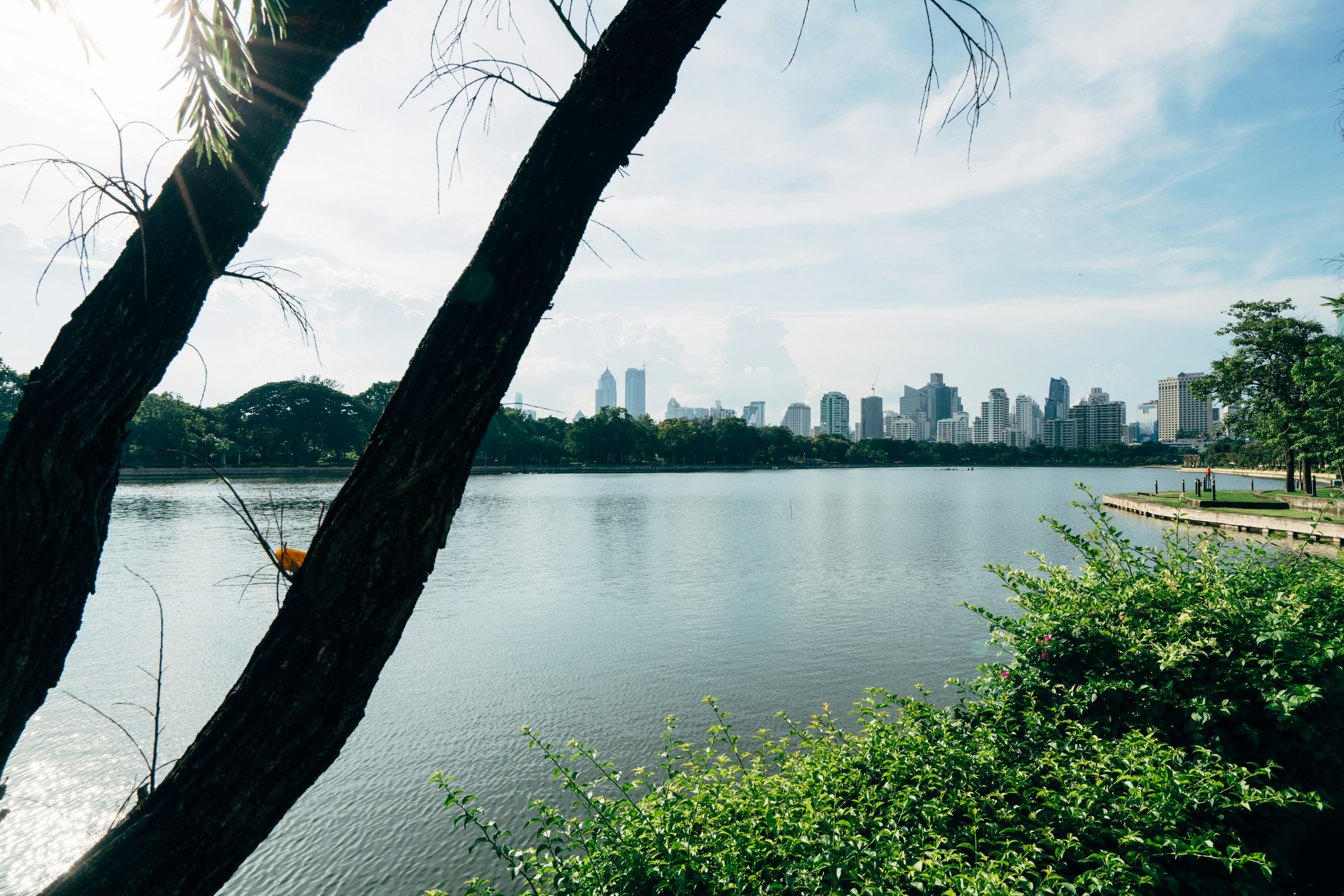 Photo by markuswinkler