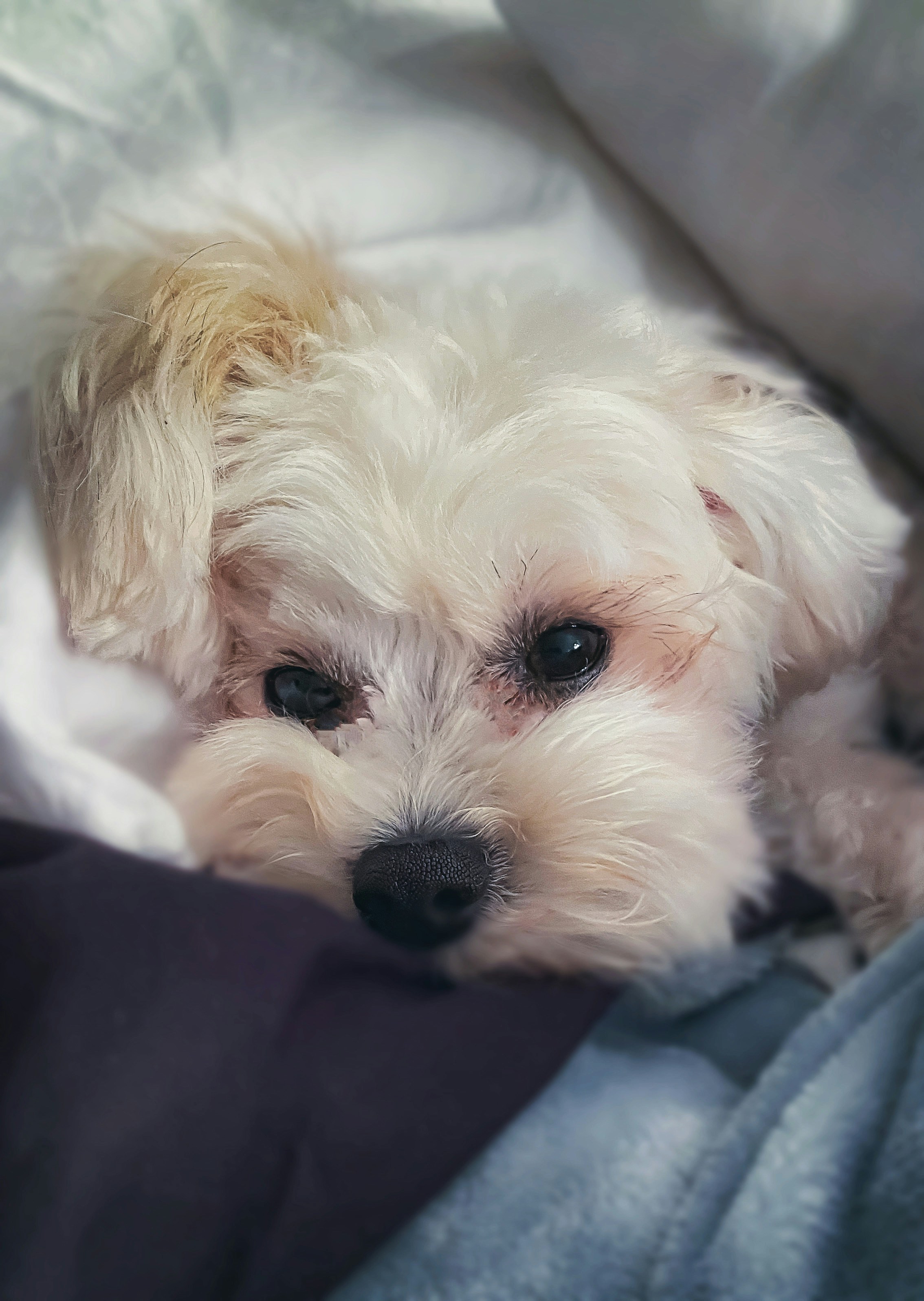 Photo by renjackreative