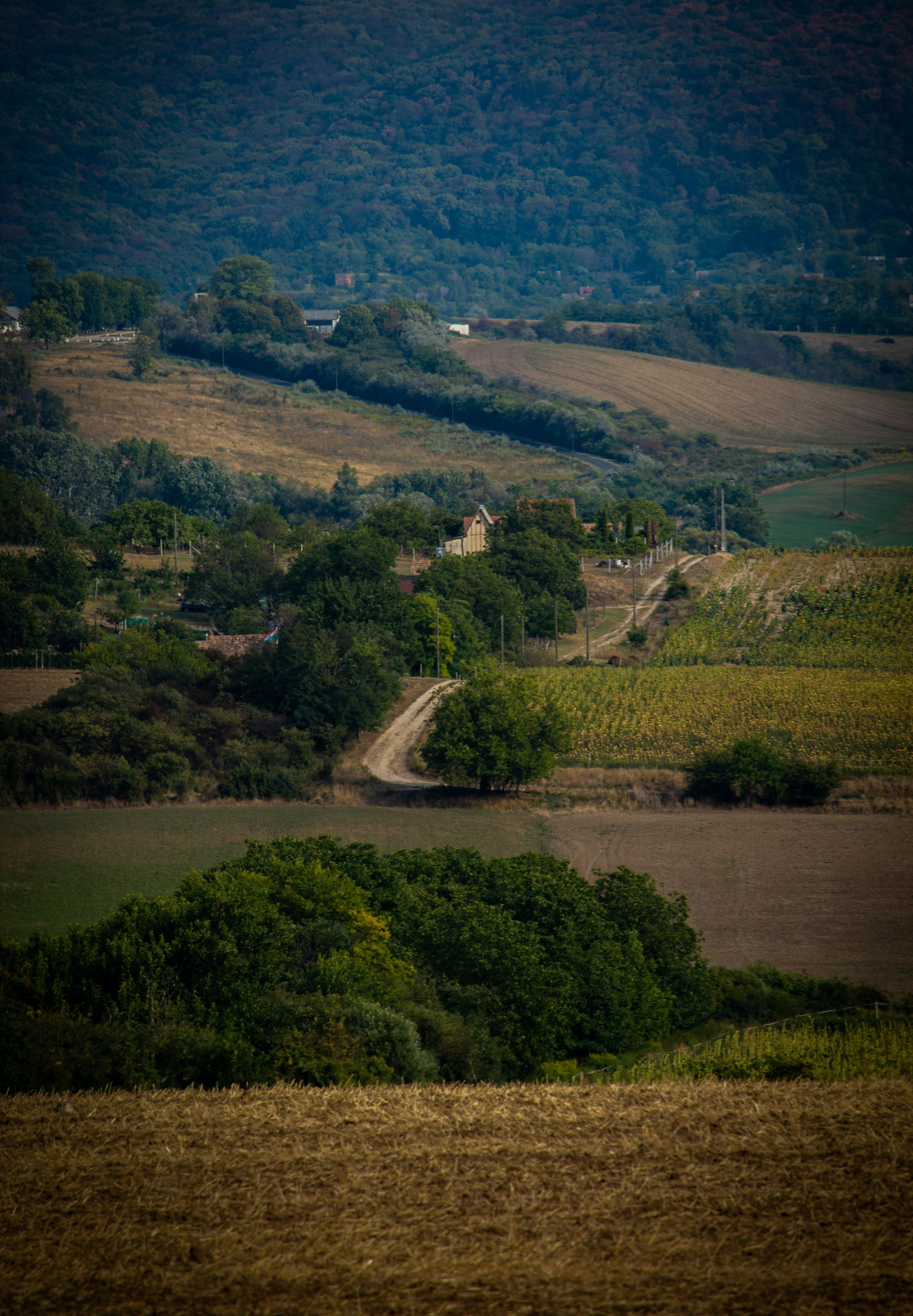 Photo by szrpphotography