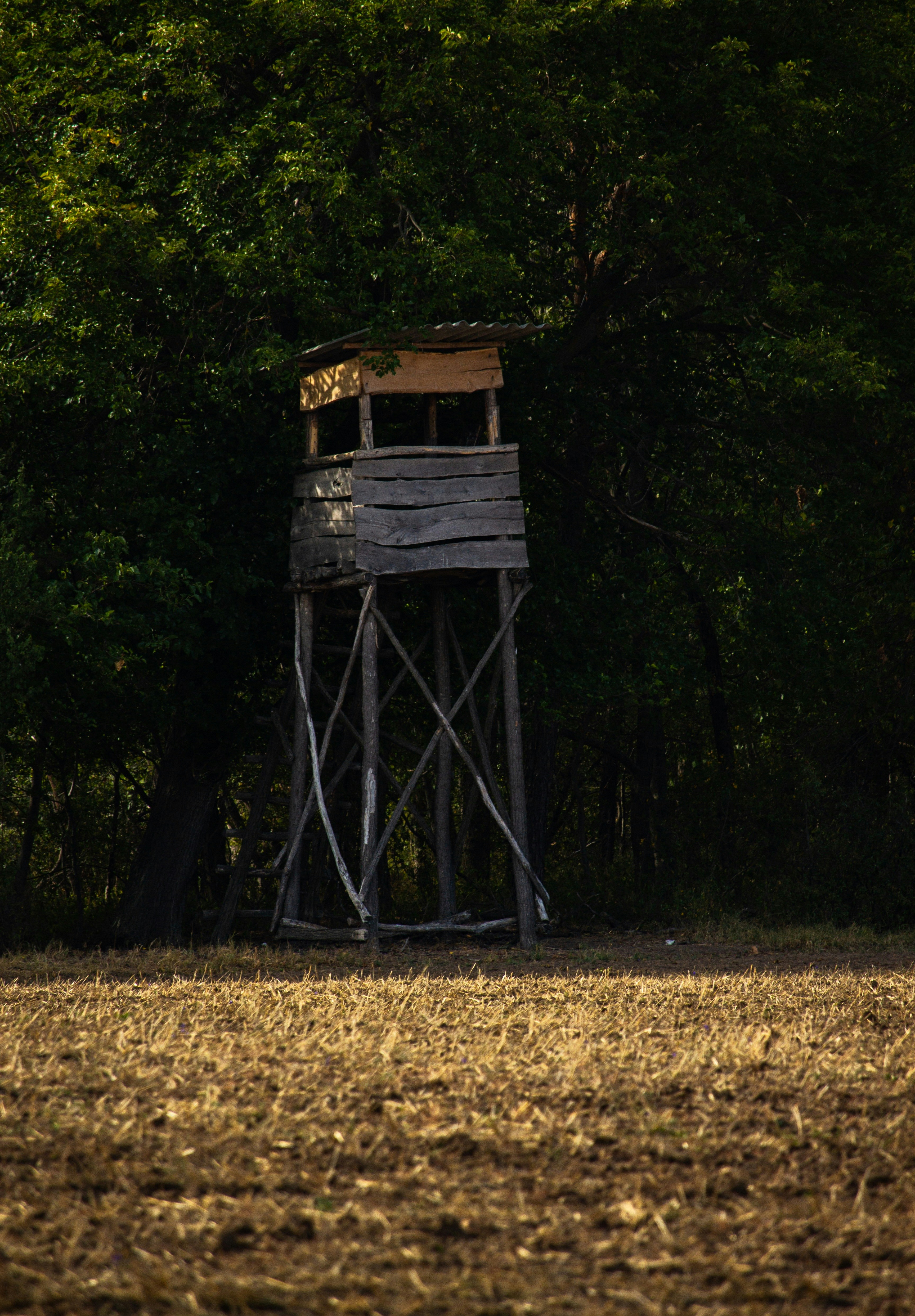 Photo by szrpphotography