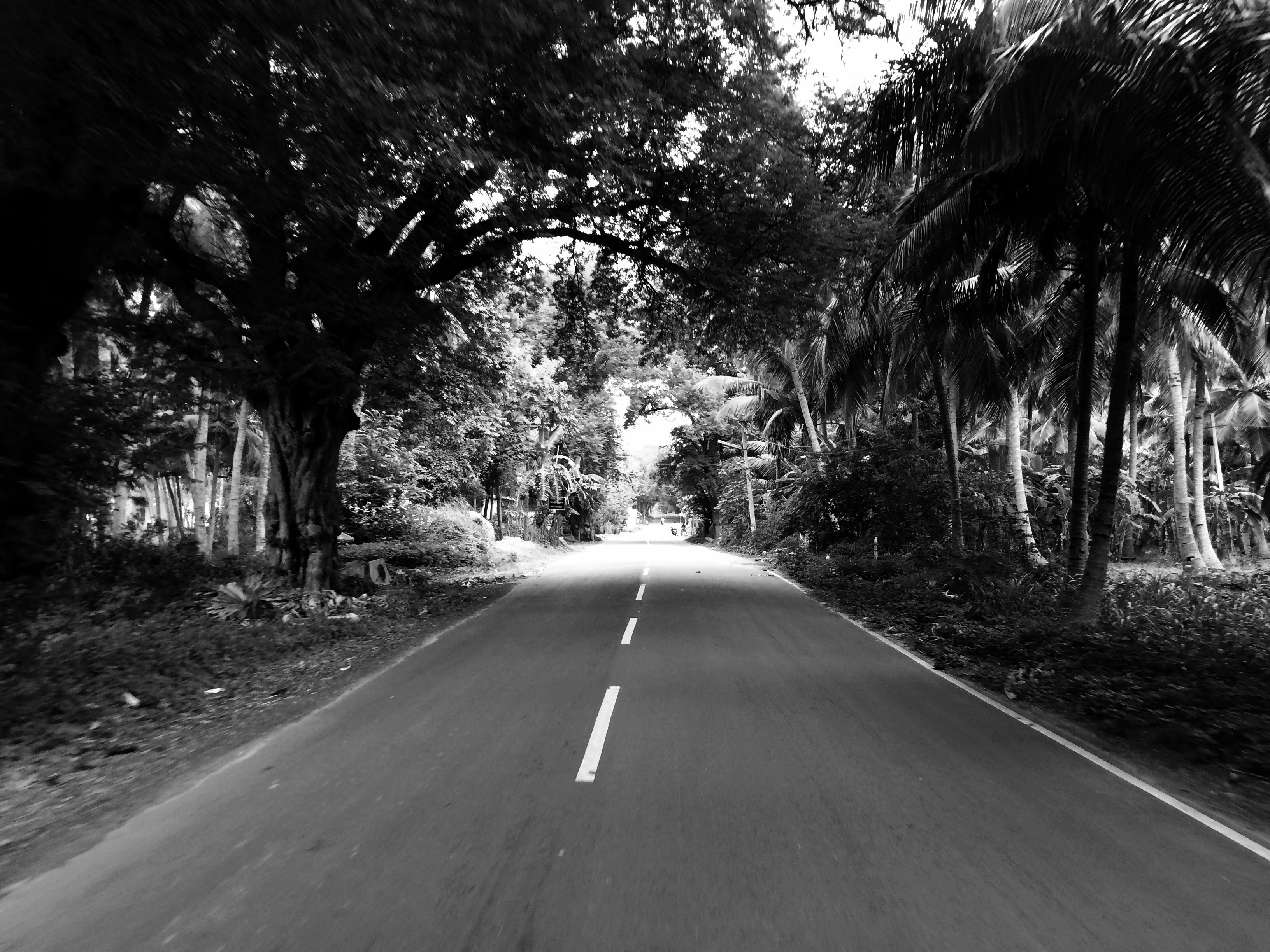 Photo by ravindran1503