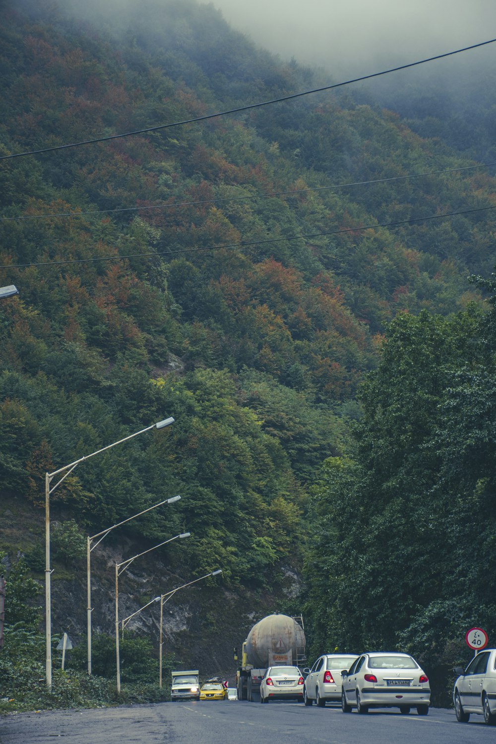 a road with cars and trees on the side