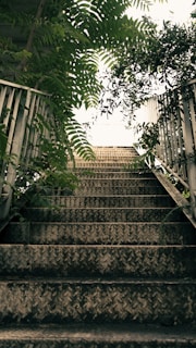Wide shot of a metal staircase structure blending with natural surroundings.