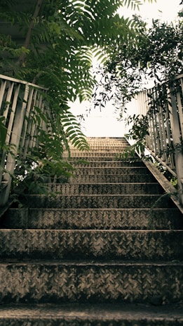 Wide shot of a metal staircase structure blending with natural surroundings.