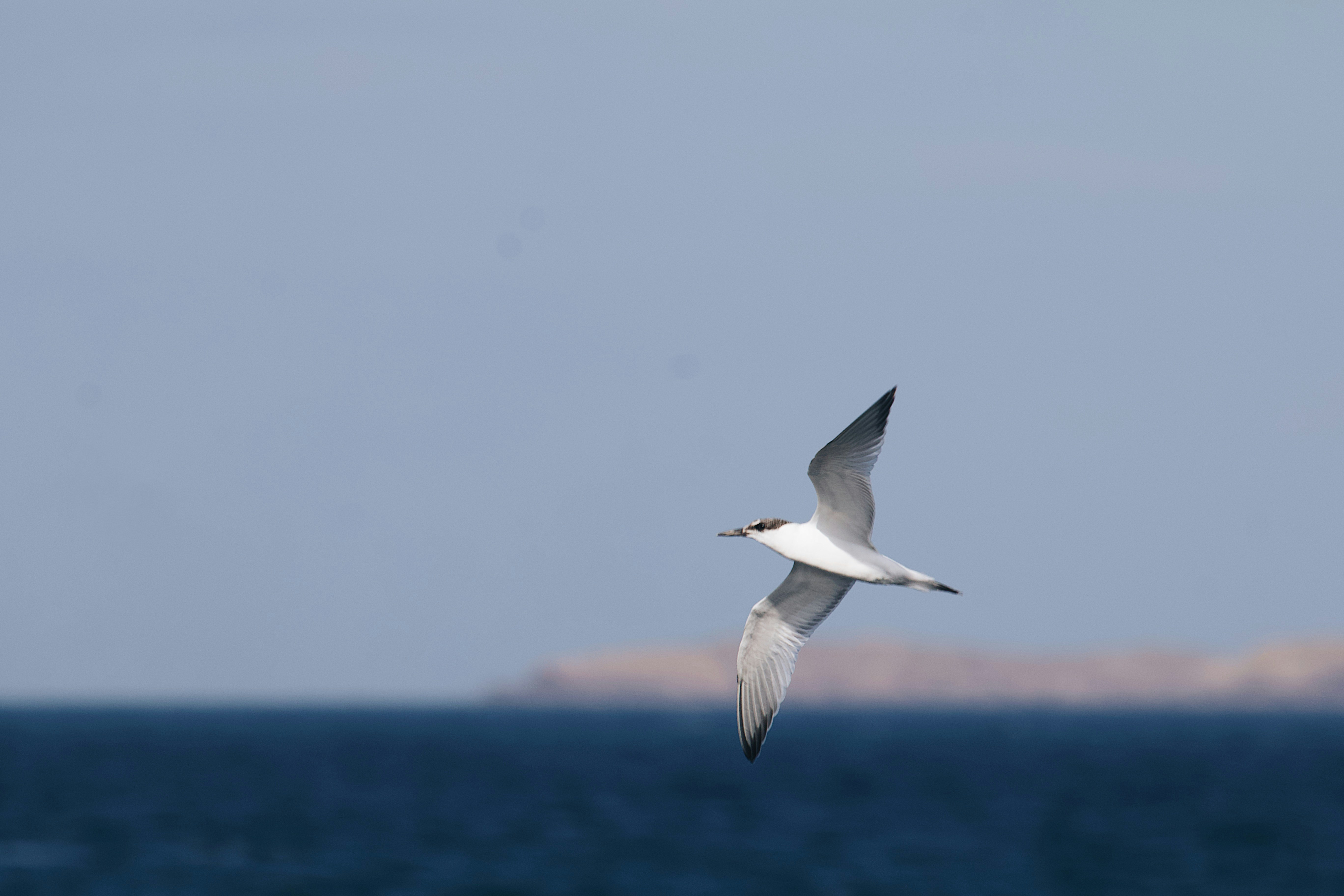 Photo by mael_balland