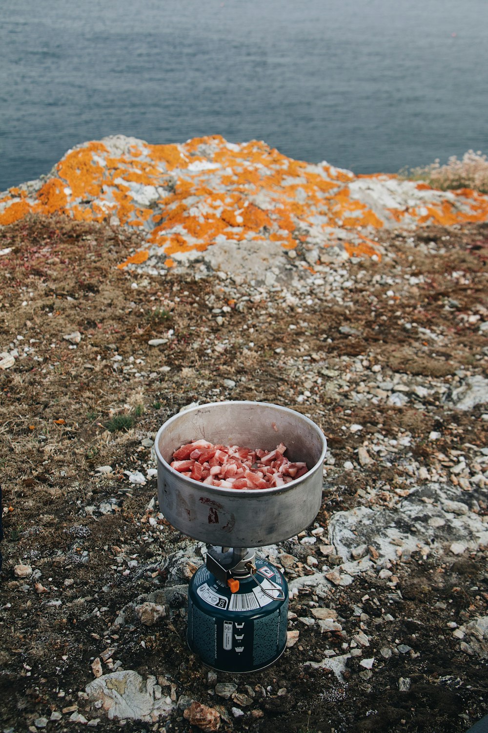 a bucket of fish on a rocky beach
