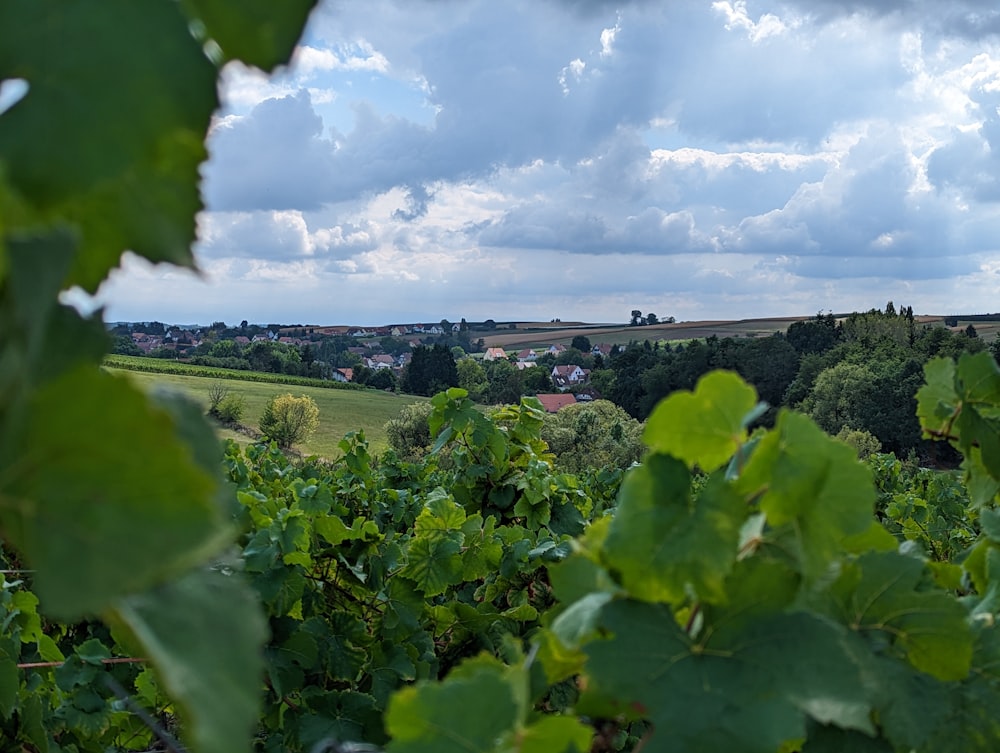 a view of a town from a hill