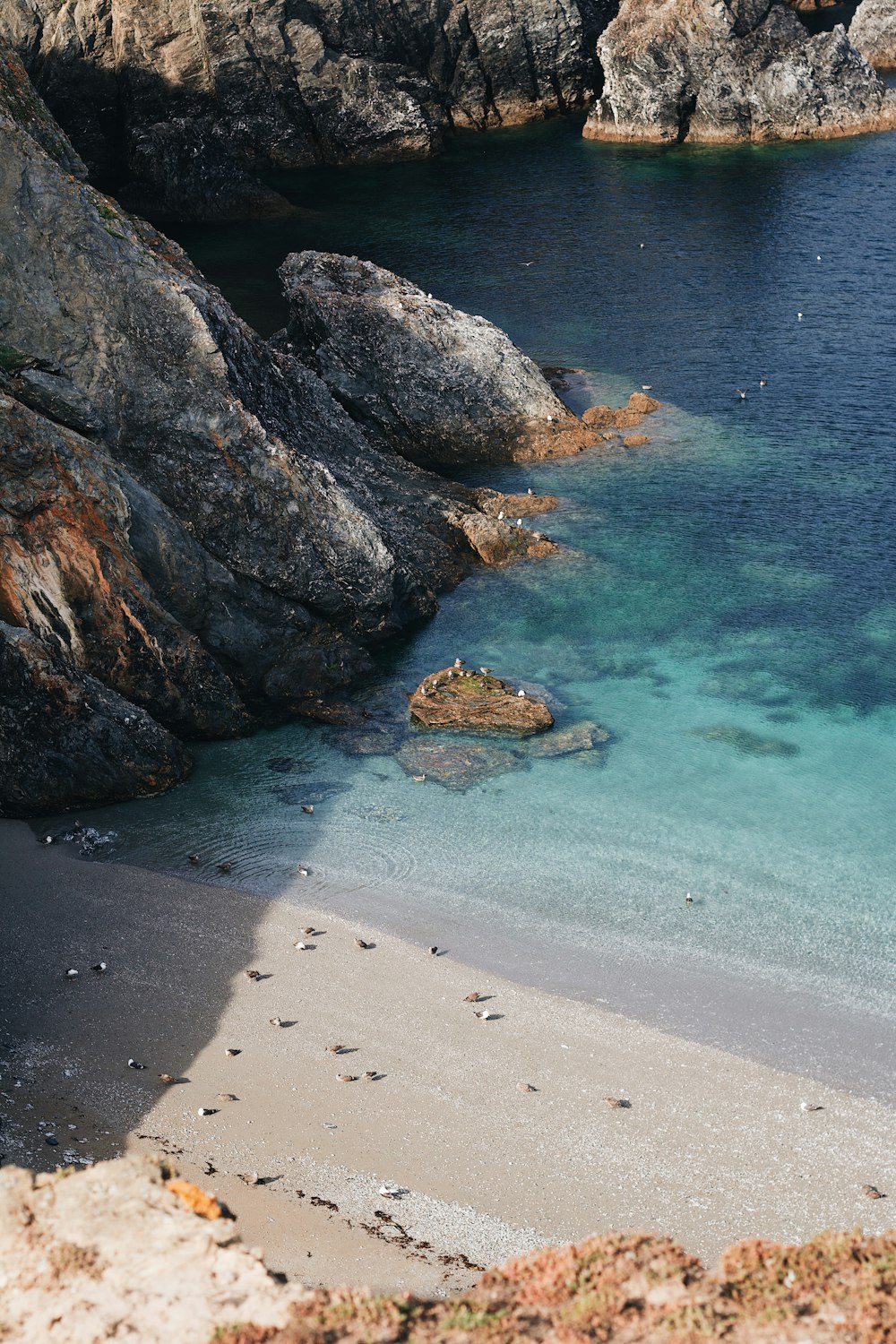 a beach with rocks and a body of water