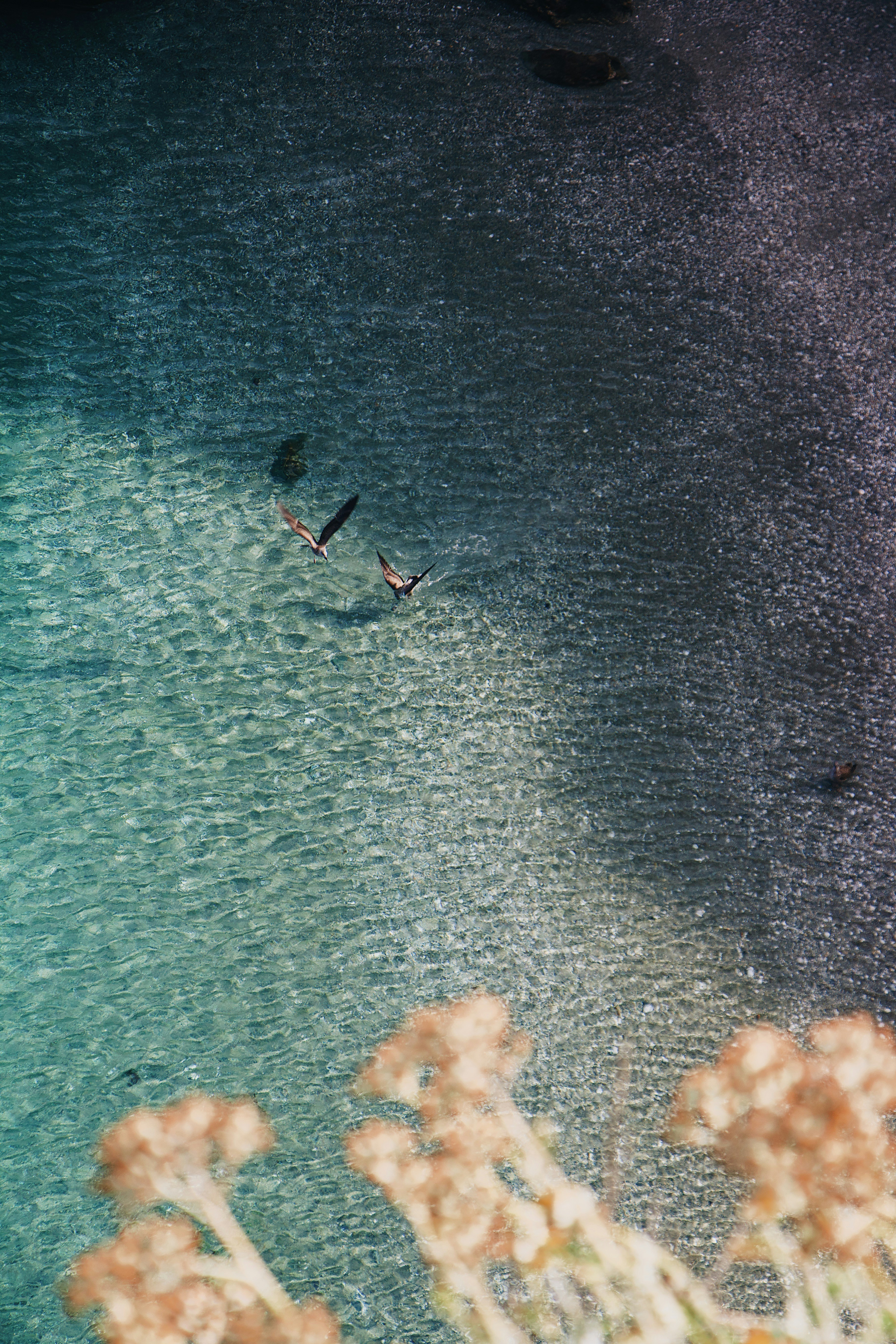 Photo by mael_balland