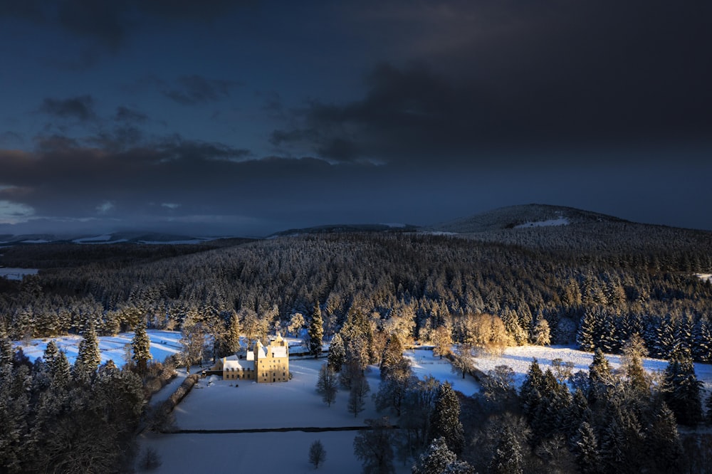 a snowy landscape with trees and buildings